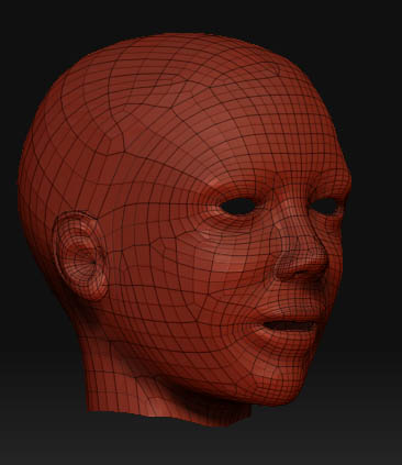 SL avatar polygroup head pic-1.jpg