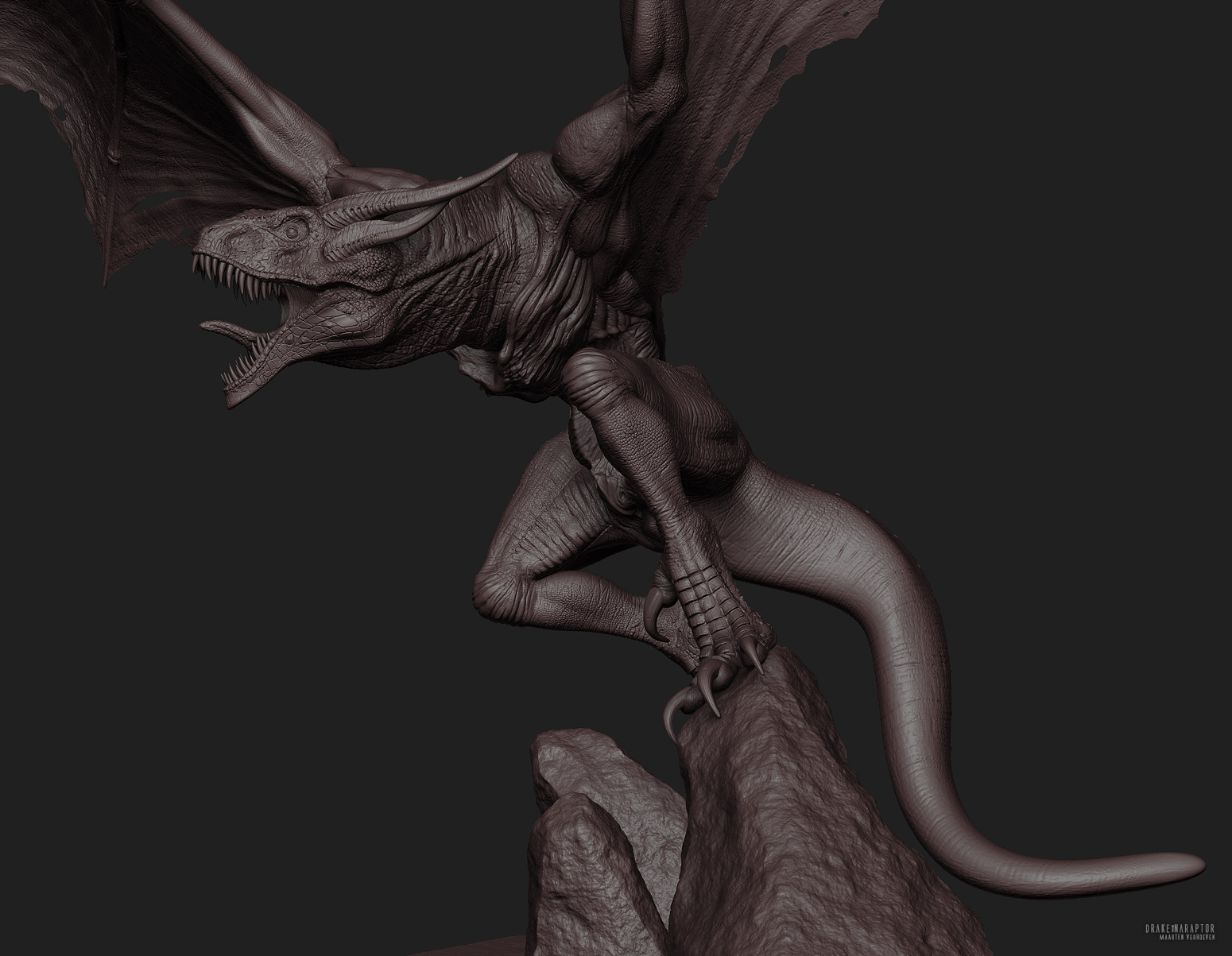 drake%C3%AEnaraptor%20B