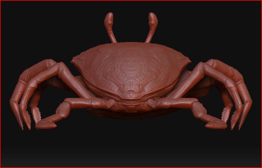 crab back.JPG
