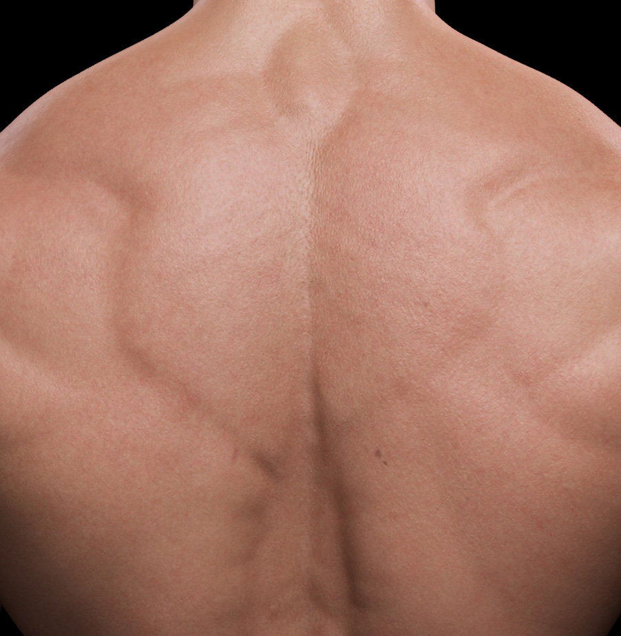 Arnold_Back_shot_details.jpg