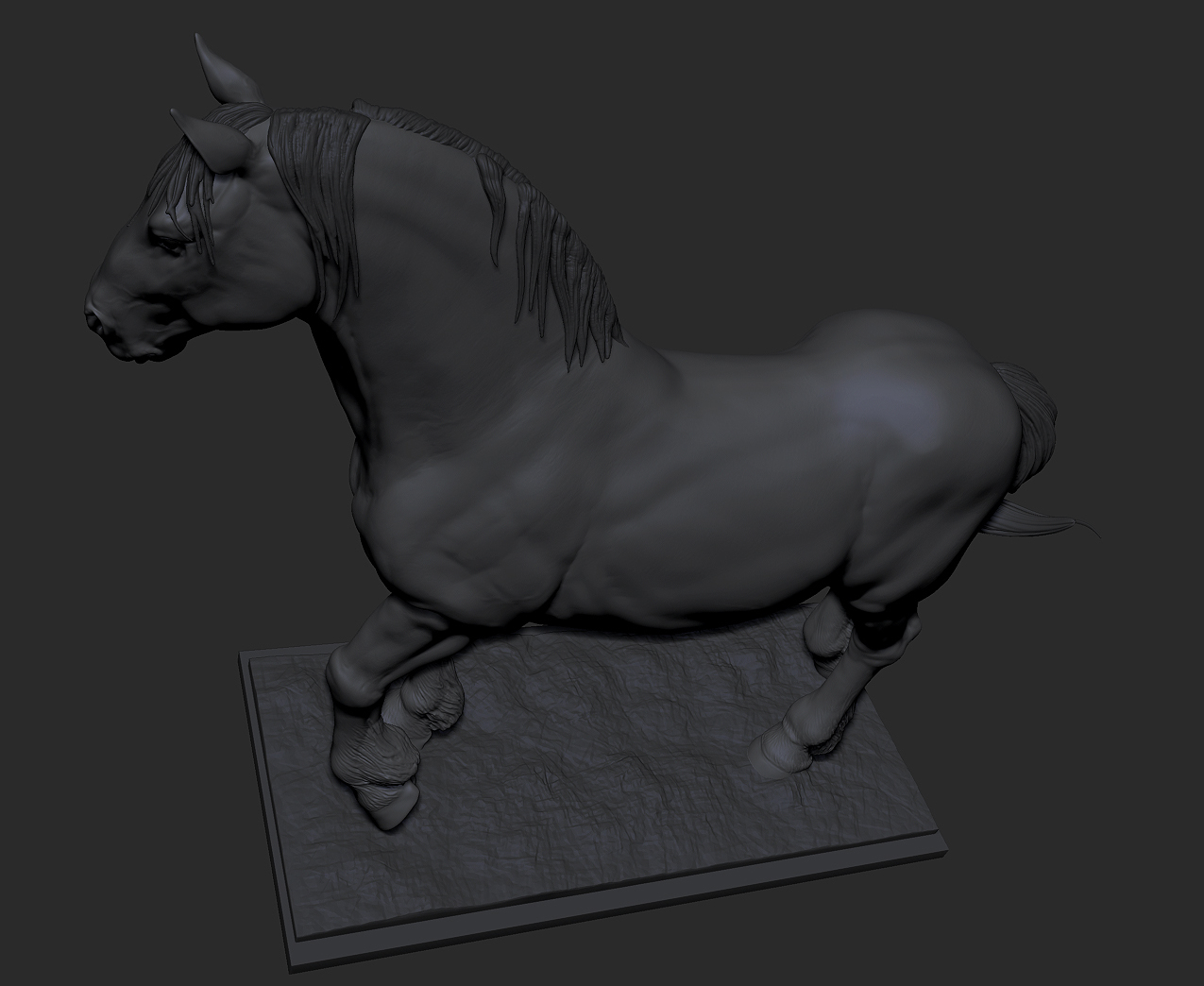 horse study 006.jpg