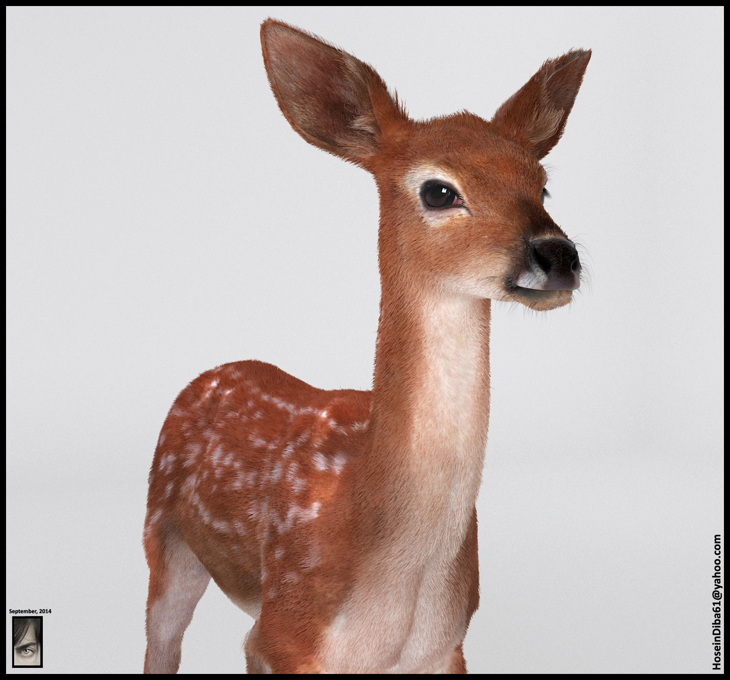 Fawn_Deer_1.jpg