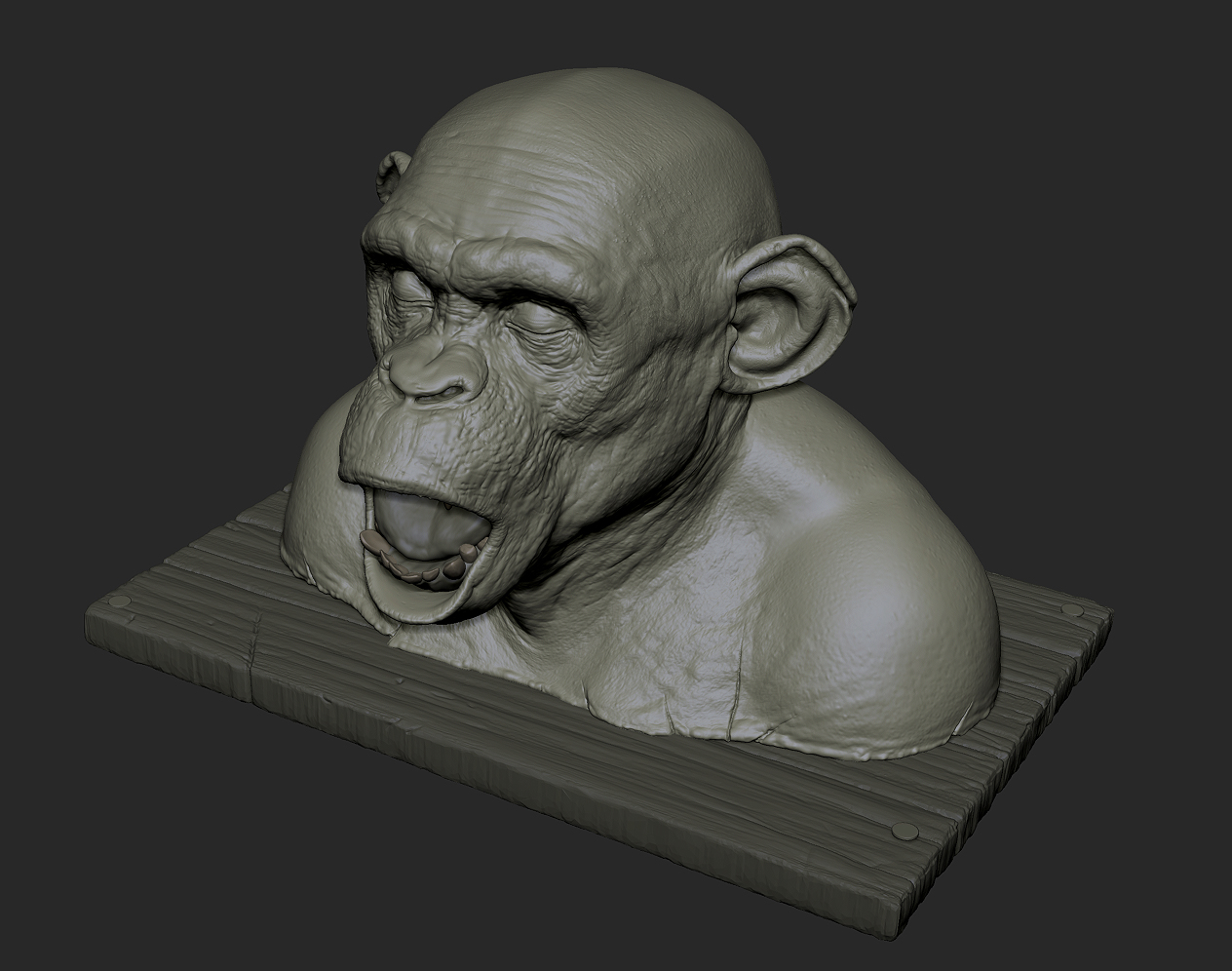 ape autopsy pt2 002.jpg