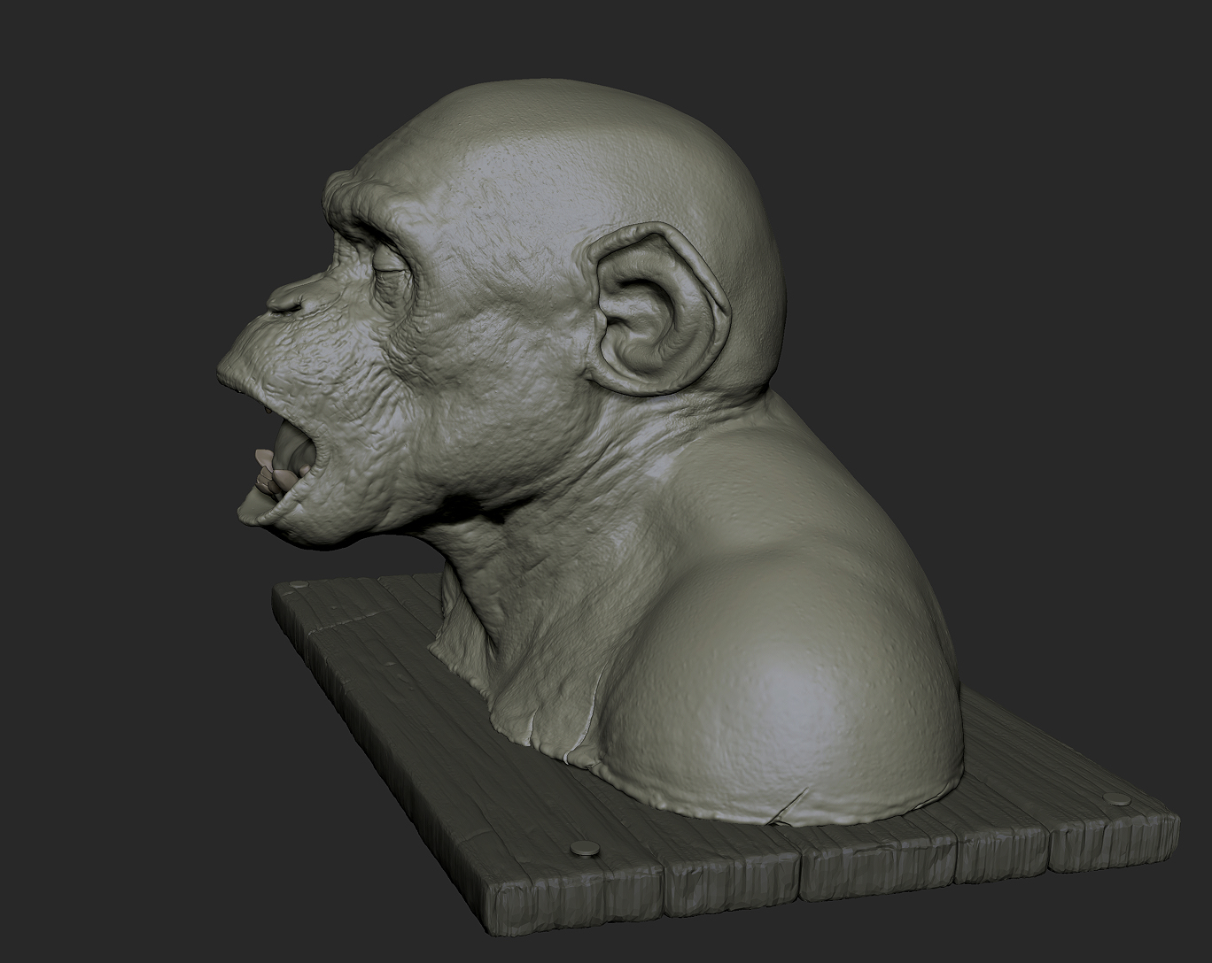 ape autopsy pt2 005.jpg