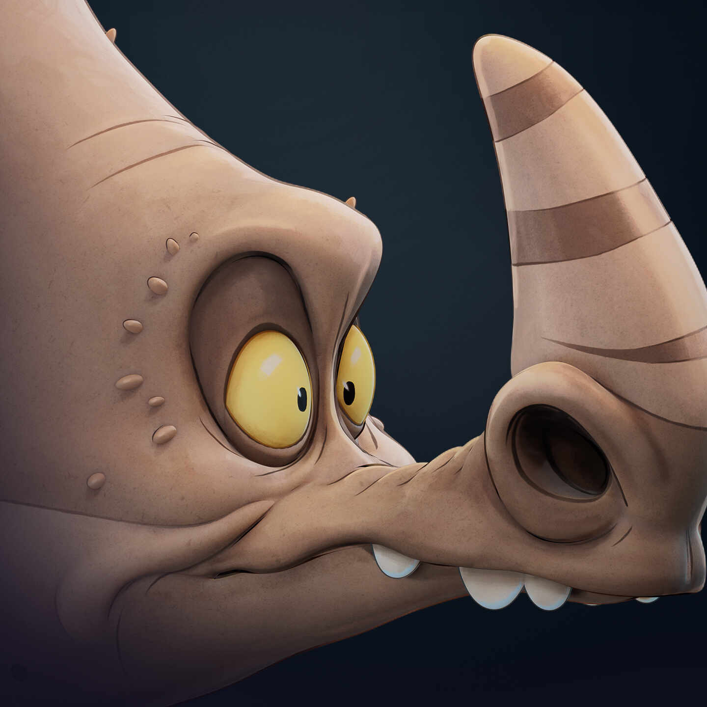 ©-2025-rhinos-aymeric-bages-colors-2