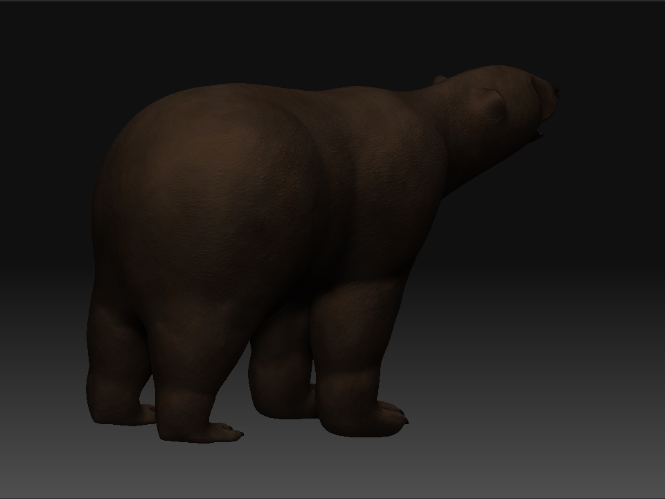 Bear 3.jpg