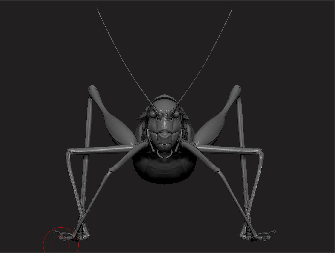 eric-keller-b-vicentinus-zbrush-02