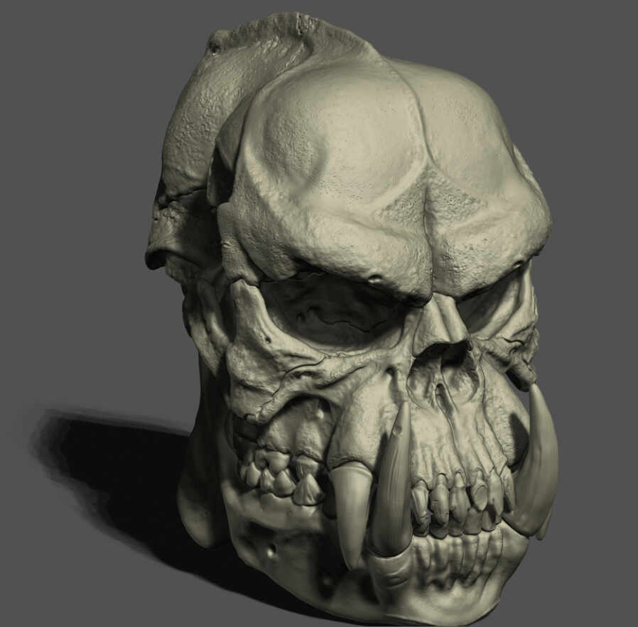 BB-Skull-with jaw