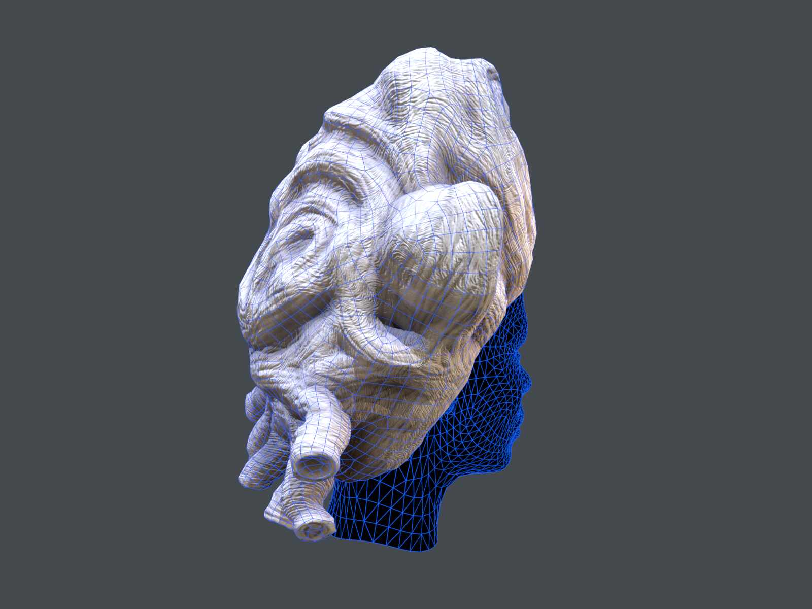 tbrender_Viewport_005