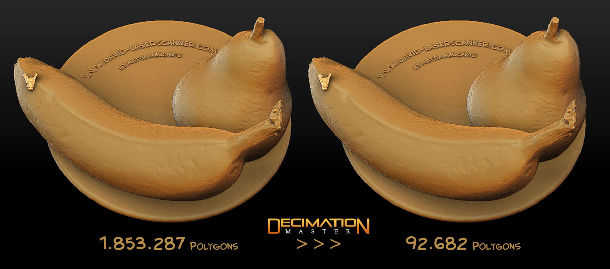 MatM_Still life with Fly.jpg