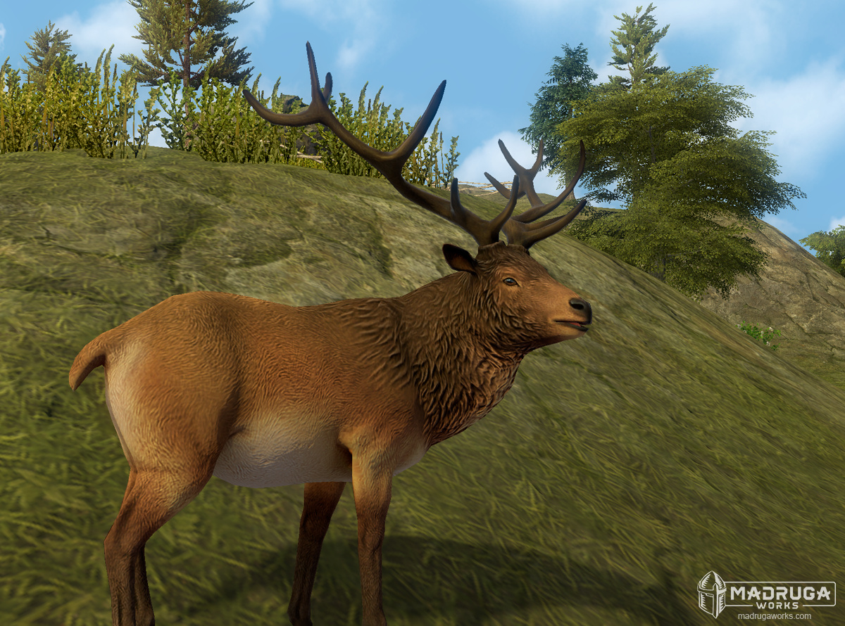 screen_deer_01