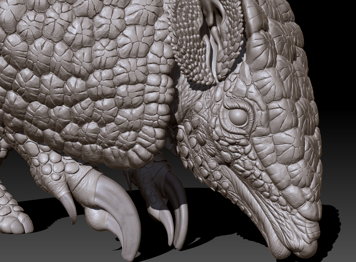 armadillo_head-close