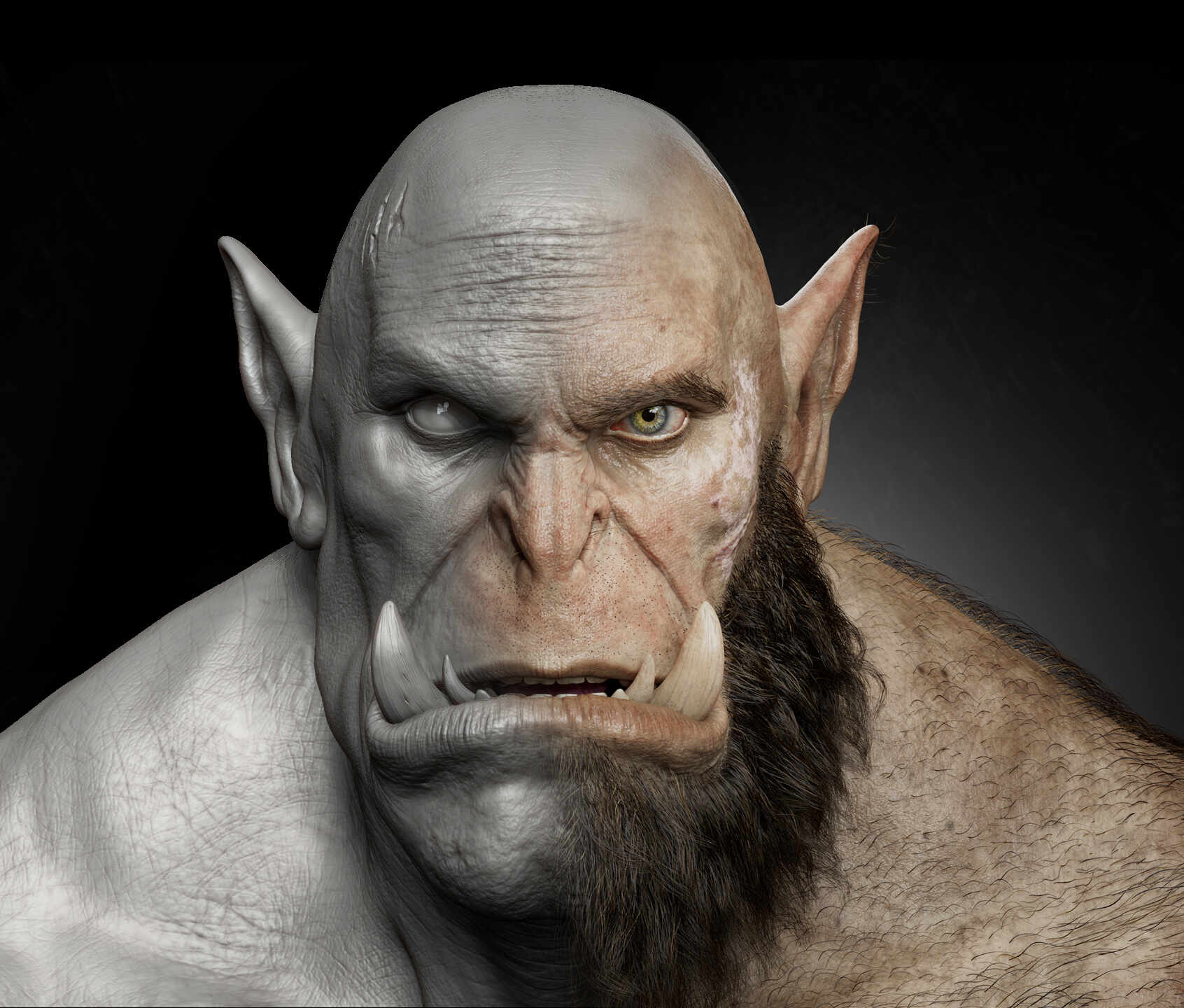 online_portfolio (3)