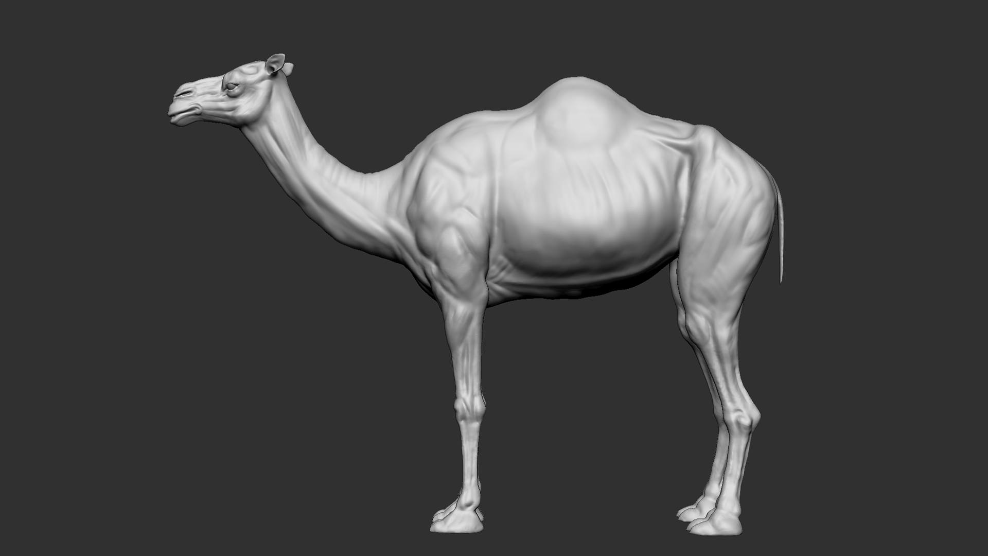 416098222_3681275932152607_3161014078270648896_n