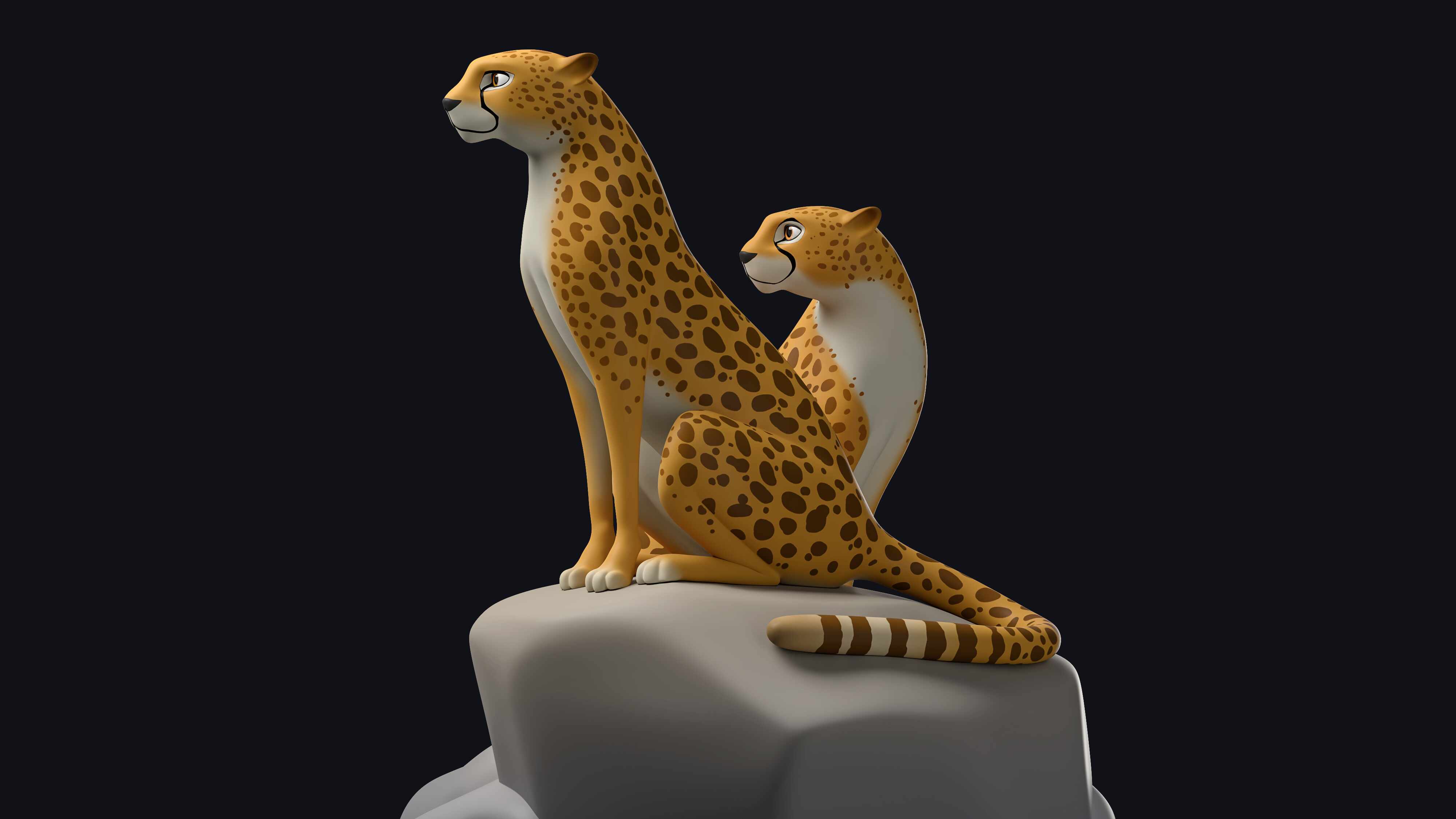 Cheetahs_02