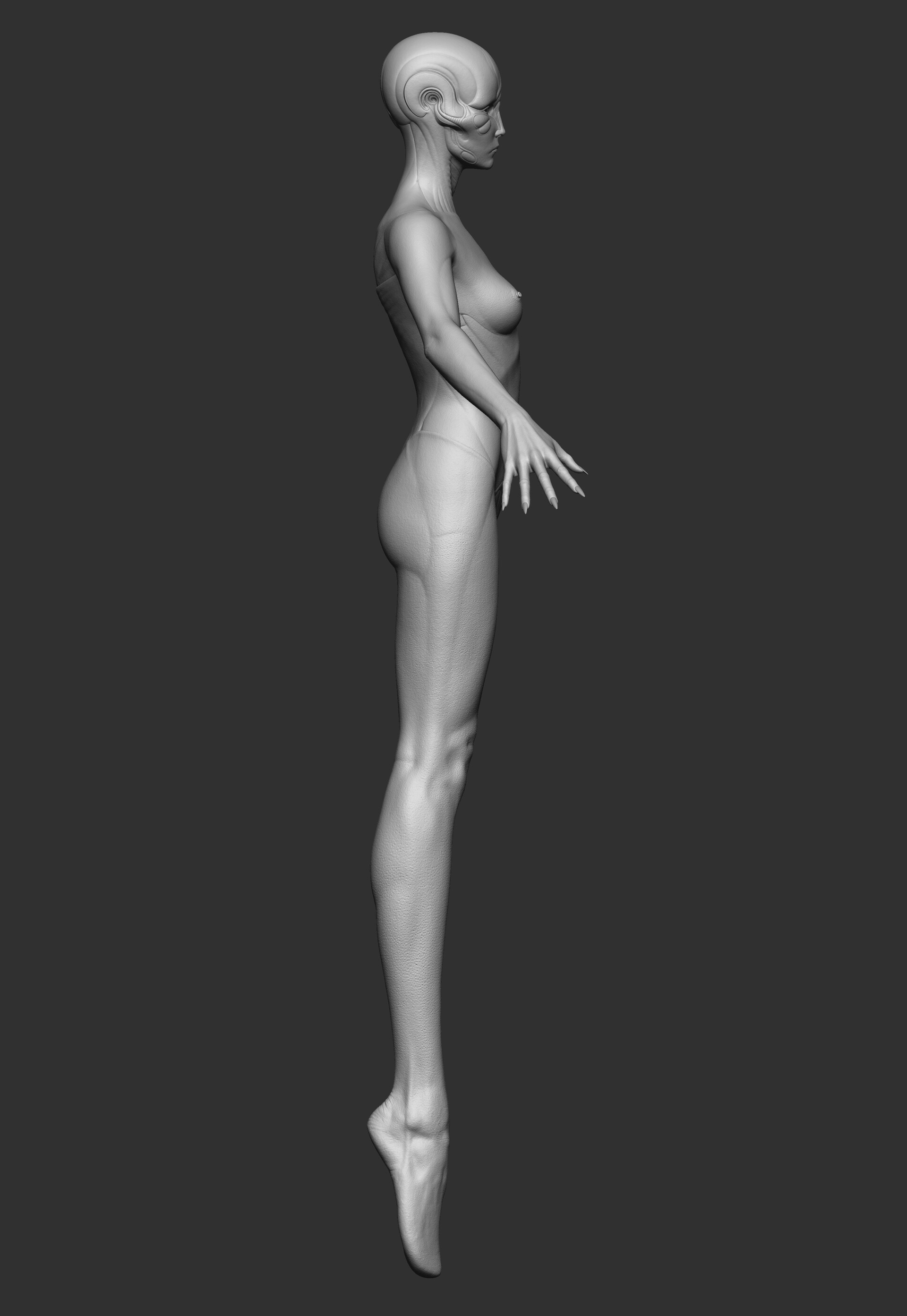 konrx-krolikowski-butterfly-hex-sculpt-side-a