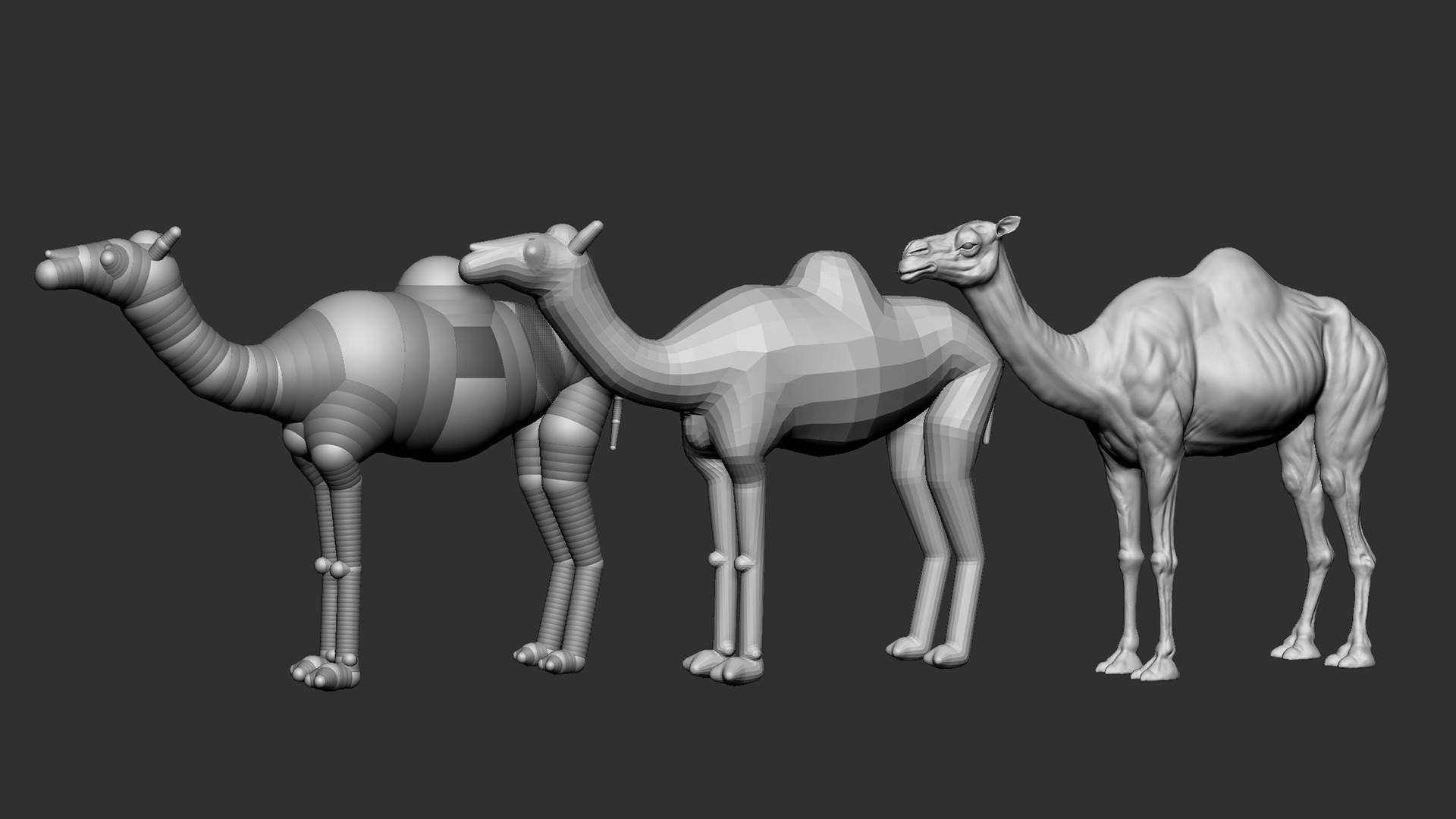 416008327_3681275935485940_4373260140019897980_n