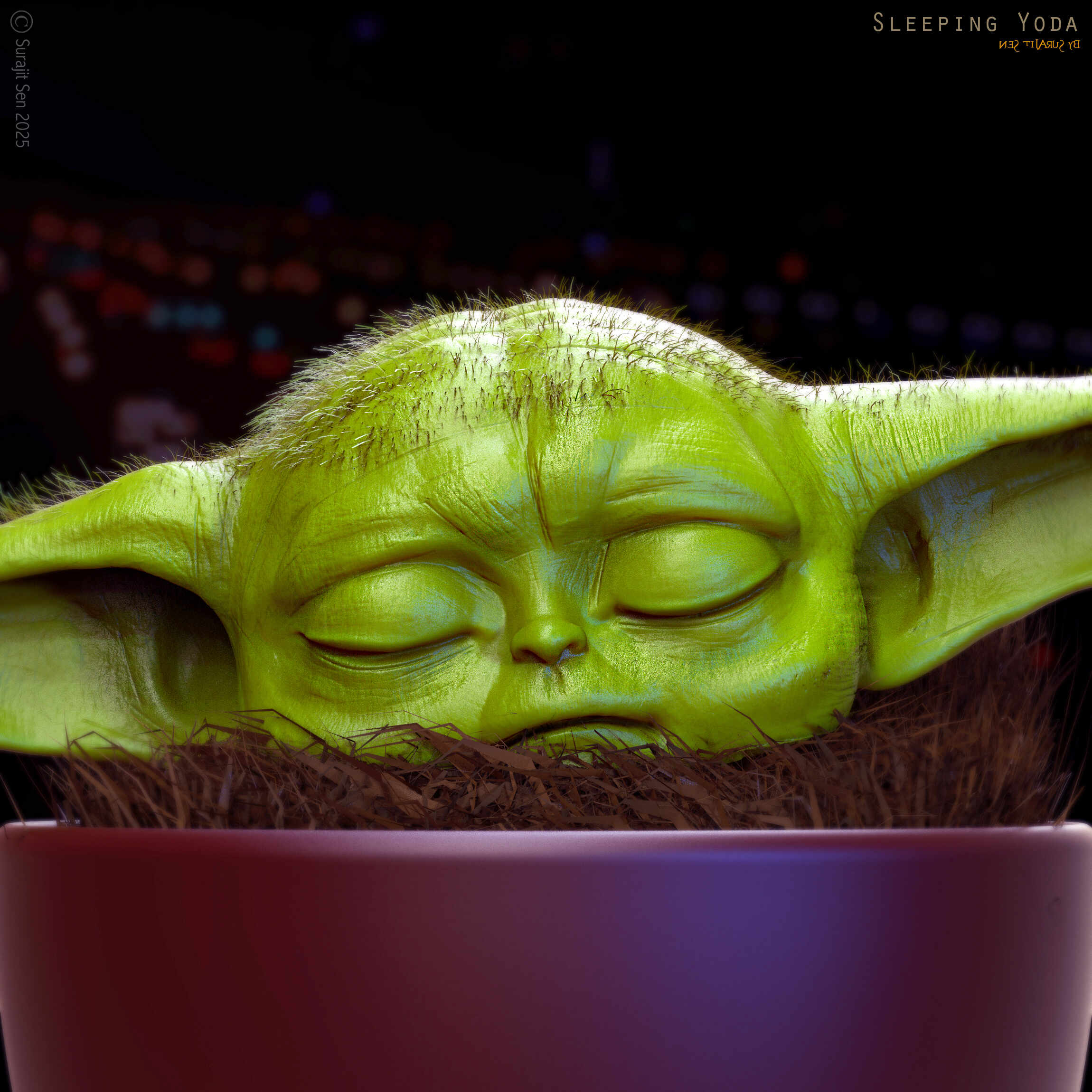 Sleeping_Yoda_Digital_Sculpture_SurajitSen_Feb2025