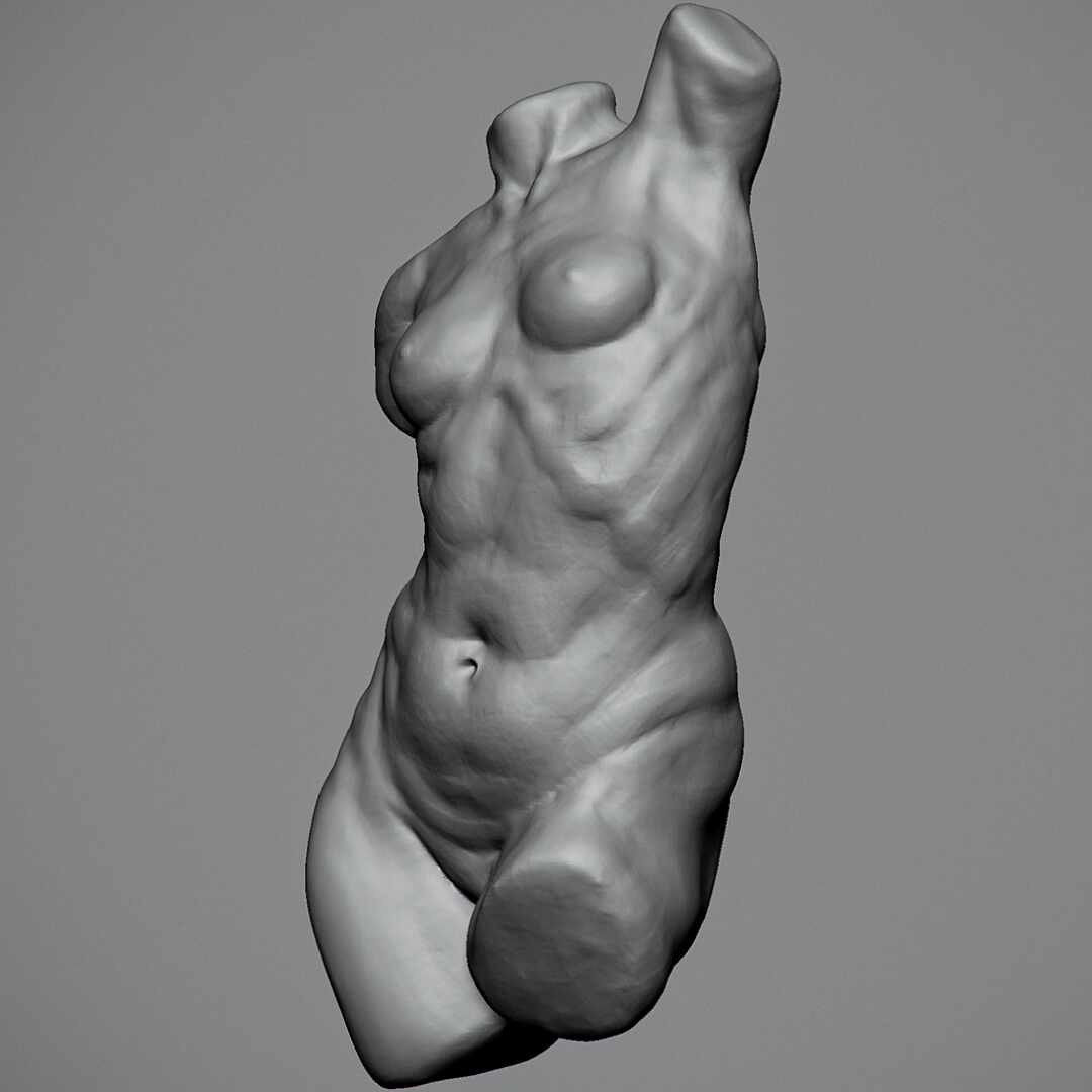 female-torso-3-4