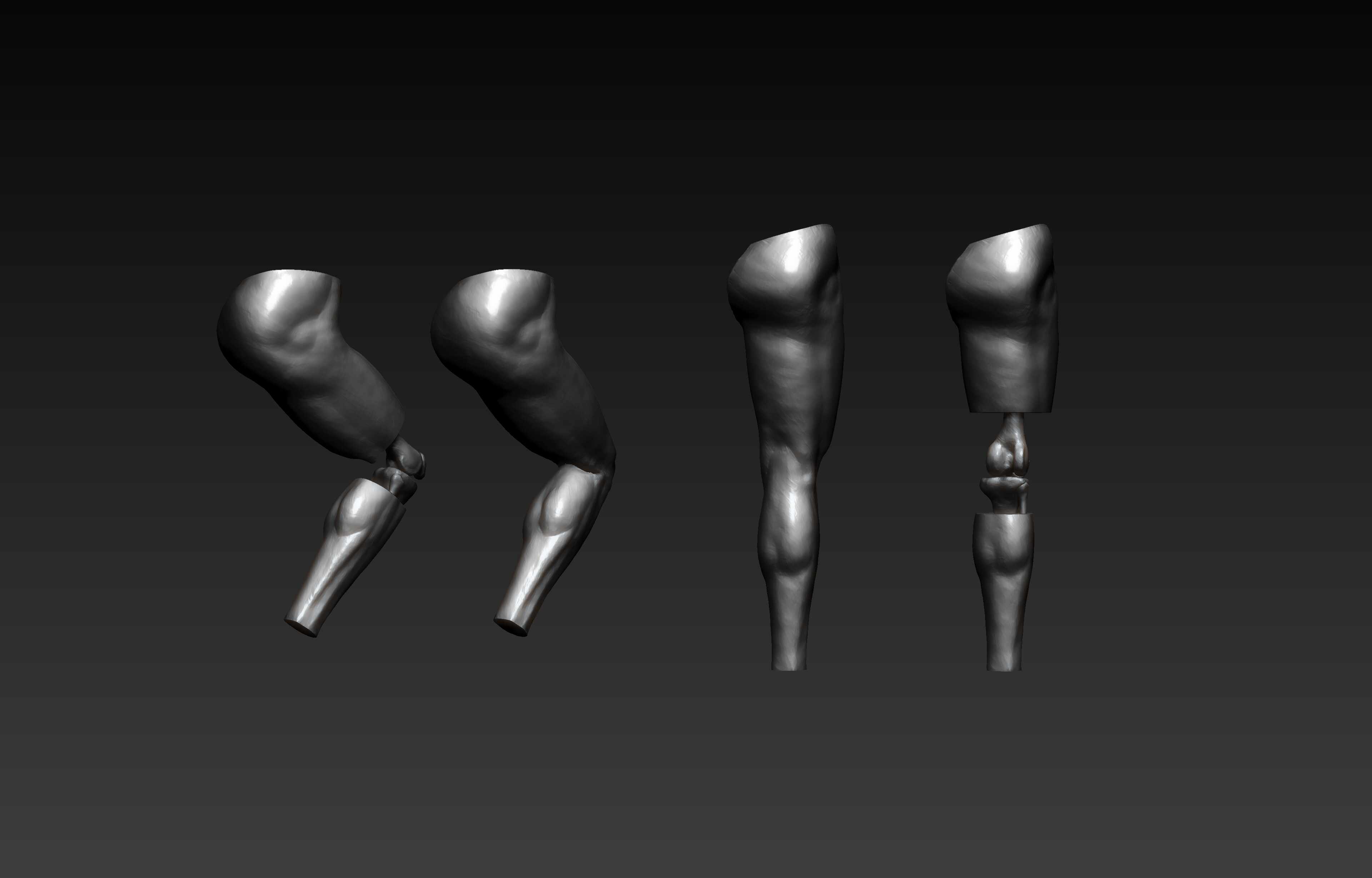 Leg_zbrush_03