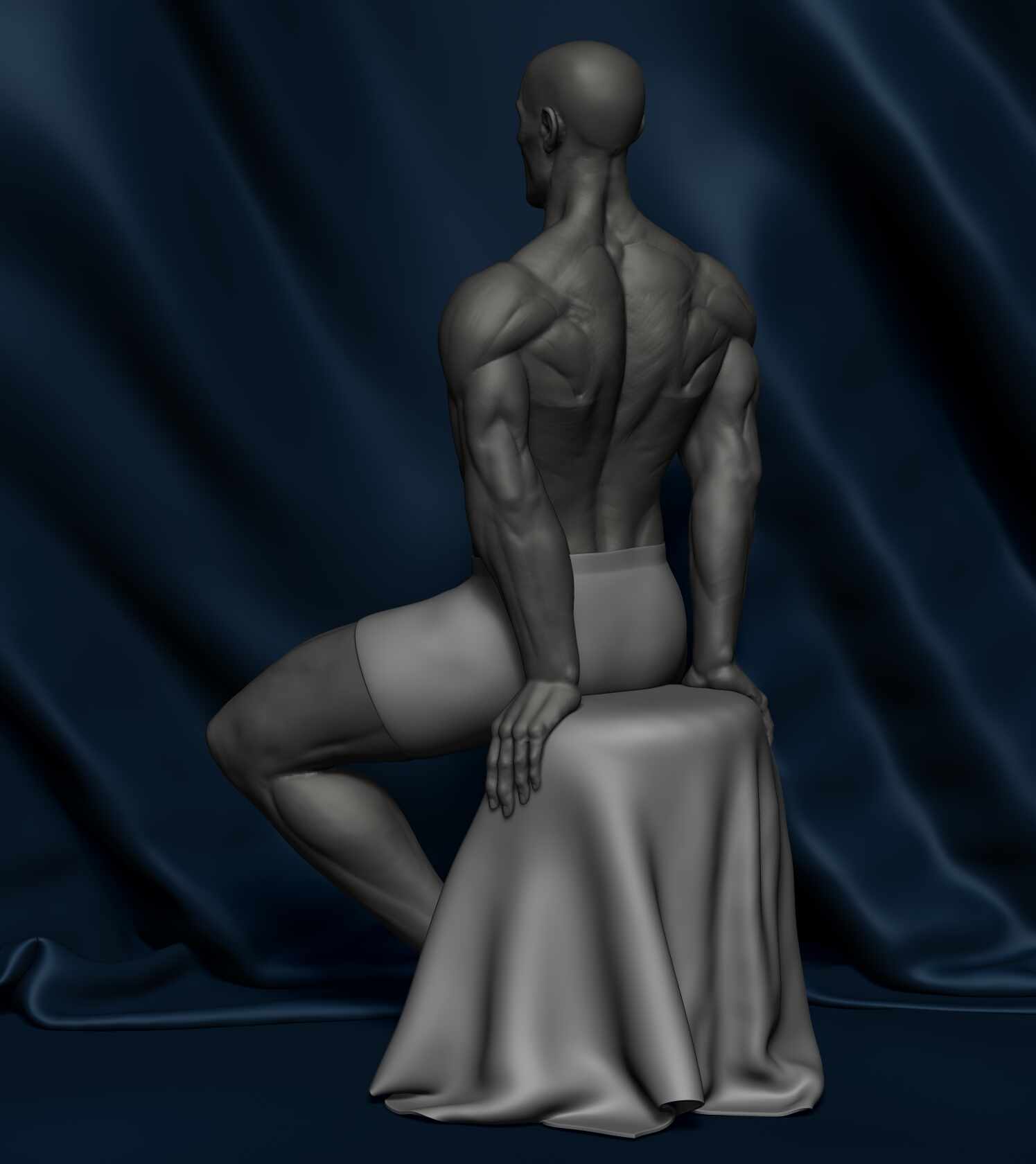 Anatomy_Study_Hamid_Reza_Afshar_04