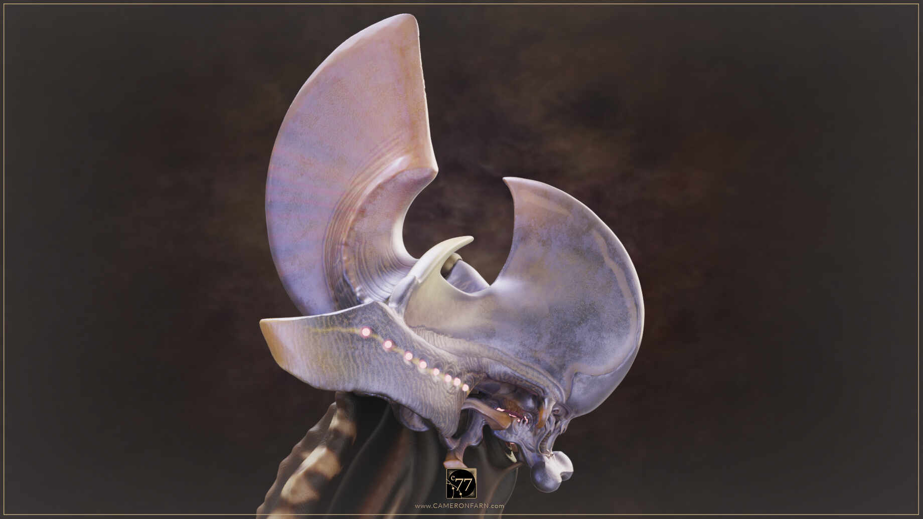 C77-WORS-Sml-InPro_0002_www.CAMERONFARN.com