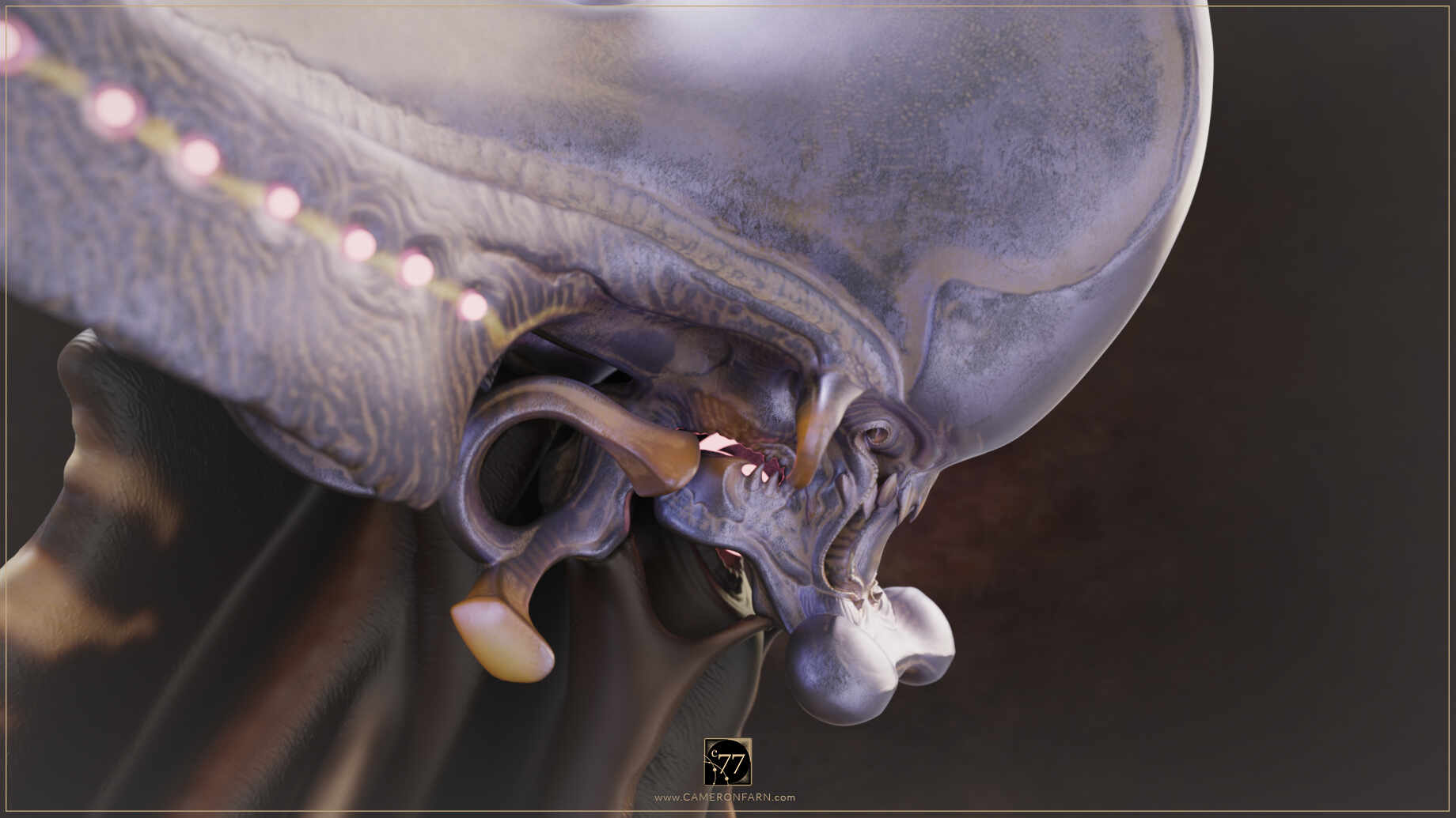 C77-WORS-Sml-InPro_0001_www.CAMERONFARN.com