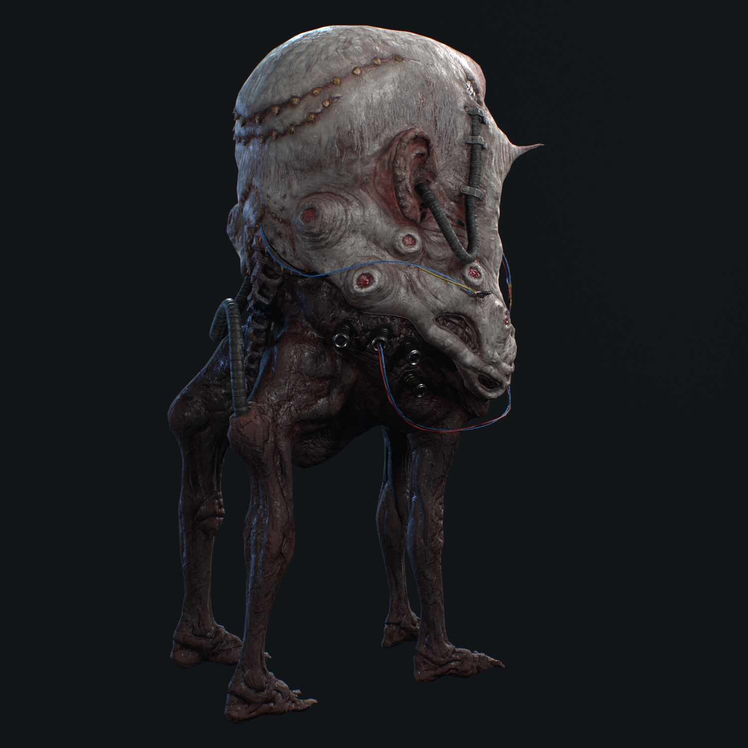 Gyo_Head_Render004_Viewport