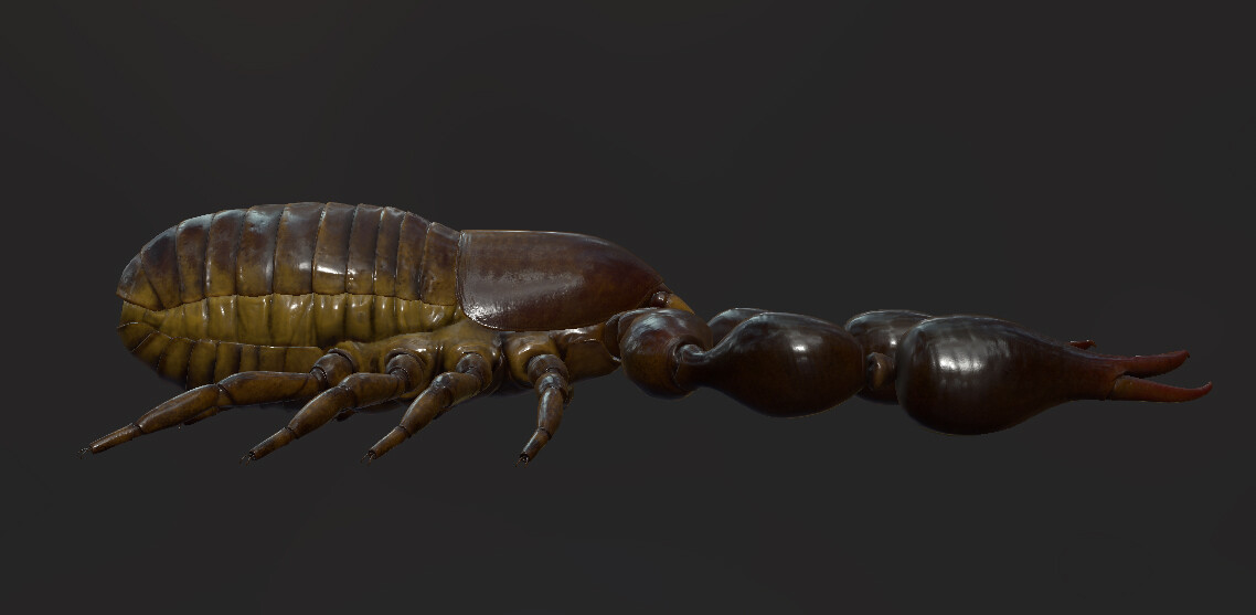 eric-keller-pseudoscorpion-textured-02