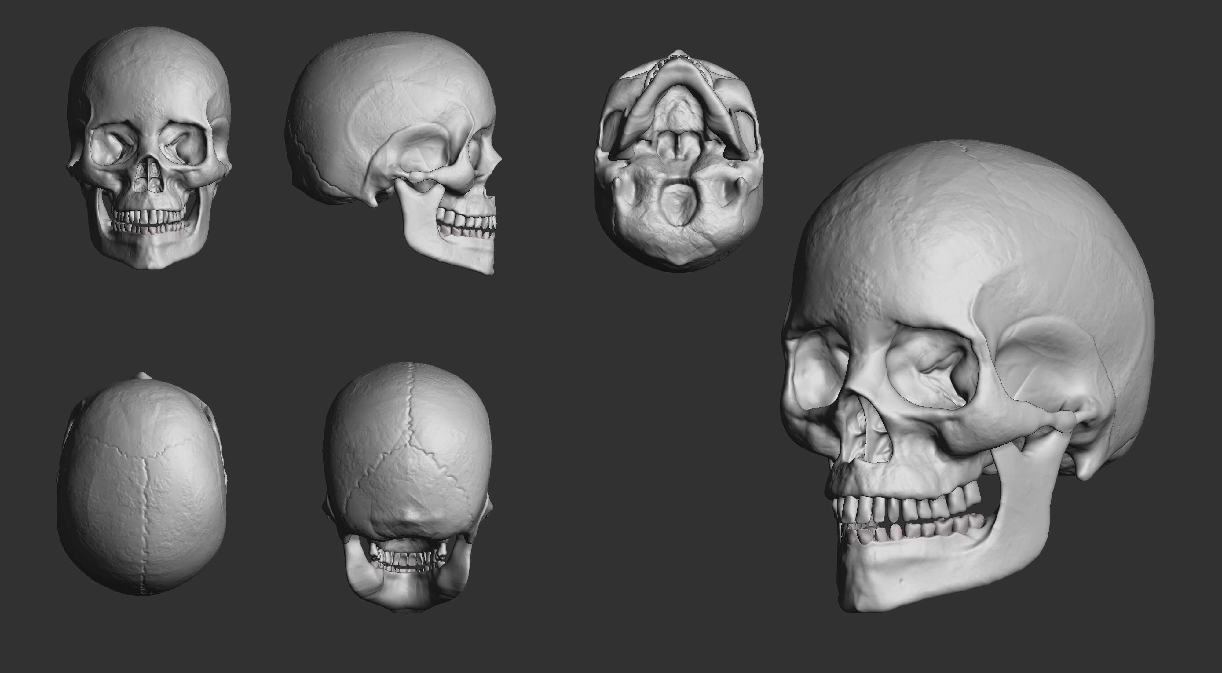 Alberto_Rodriguez_Craneo_Gris