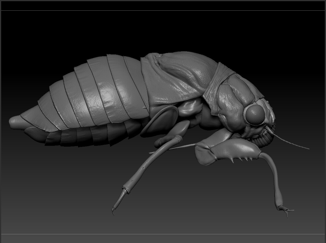 eric-keller-cicdada-adult-zbrush-03