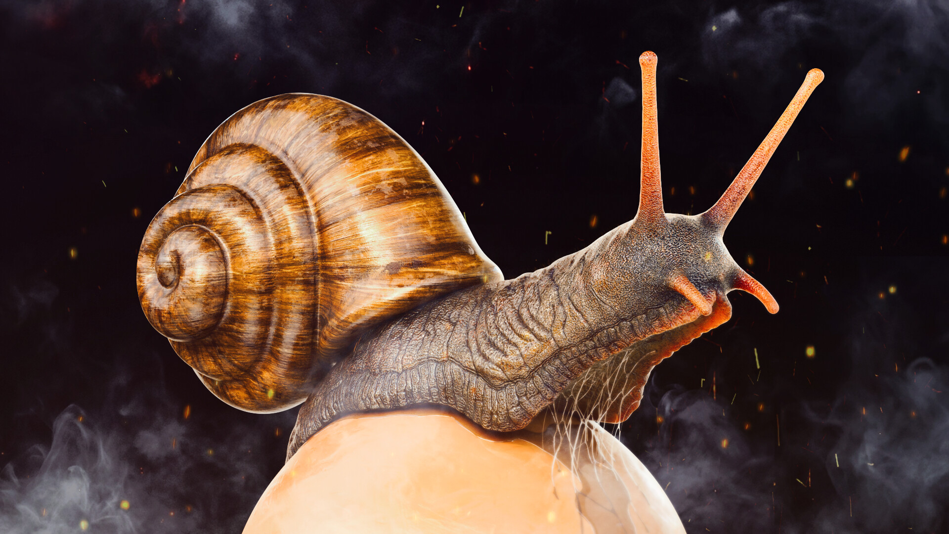 julio-benavides-snail-00015