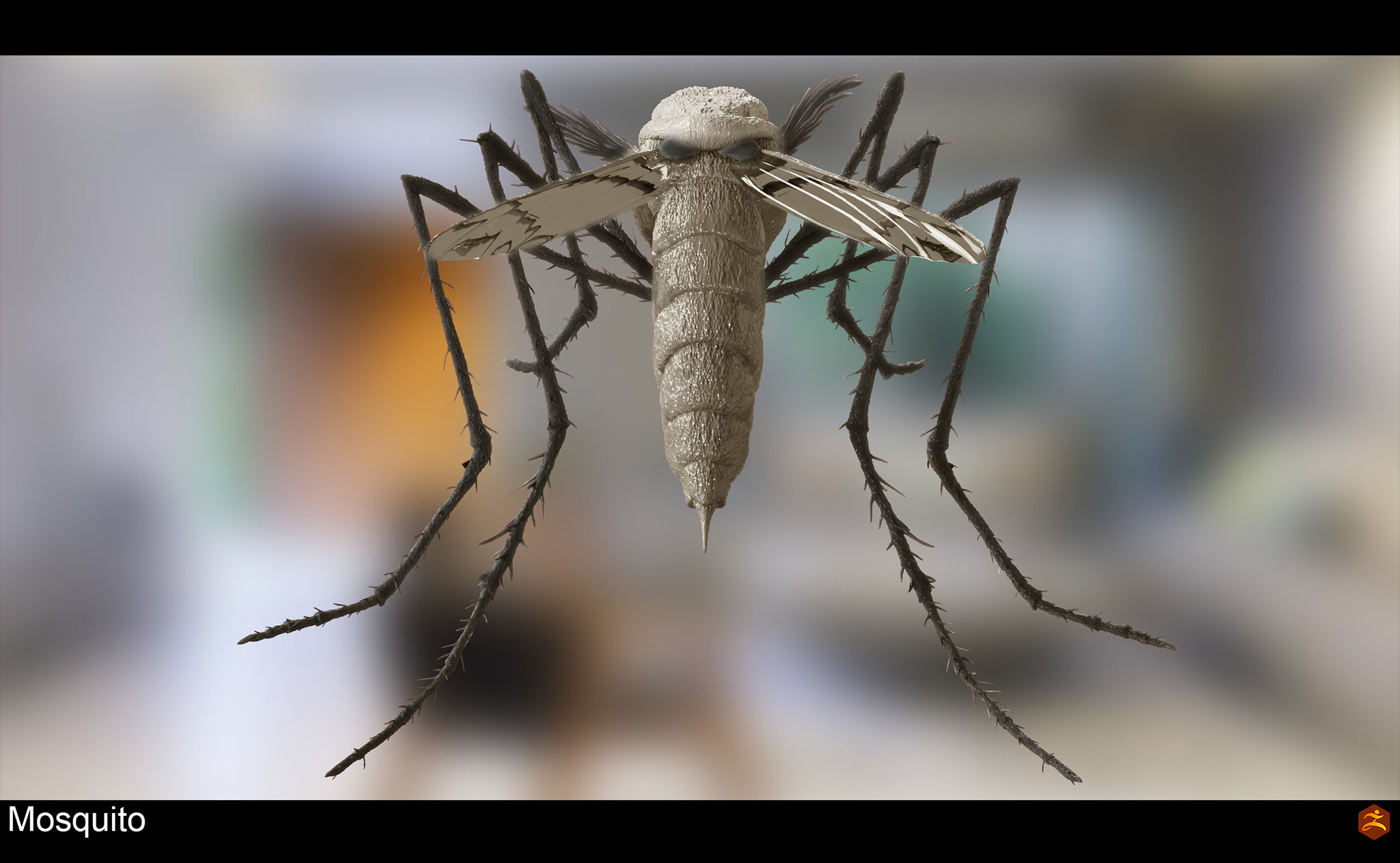 mosquito_004