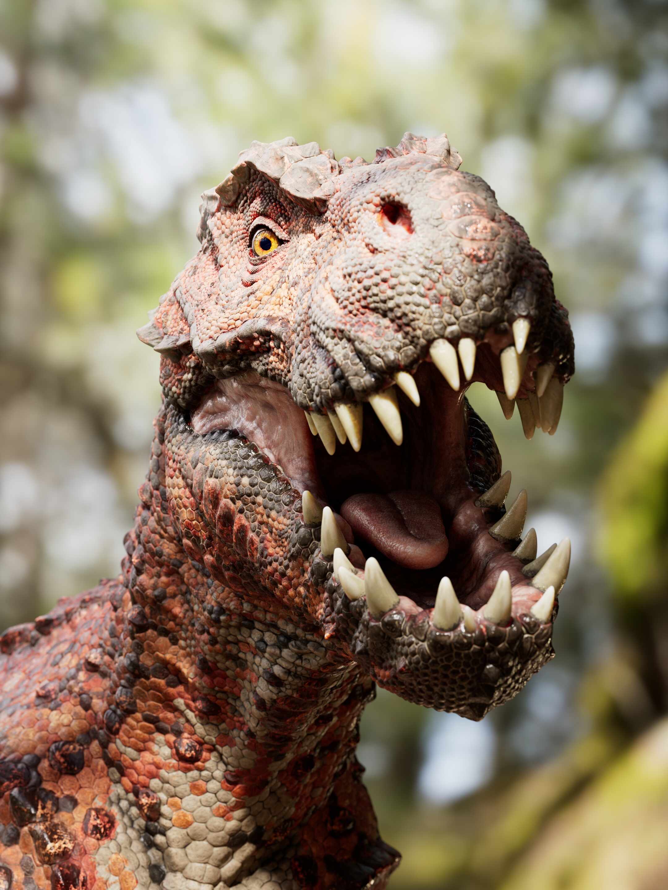 differentAngles_1003_v07