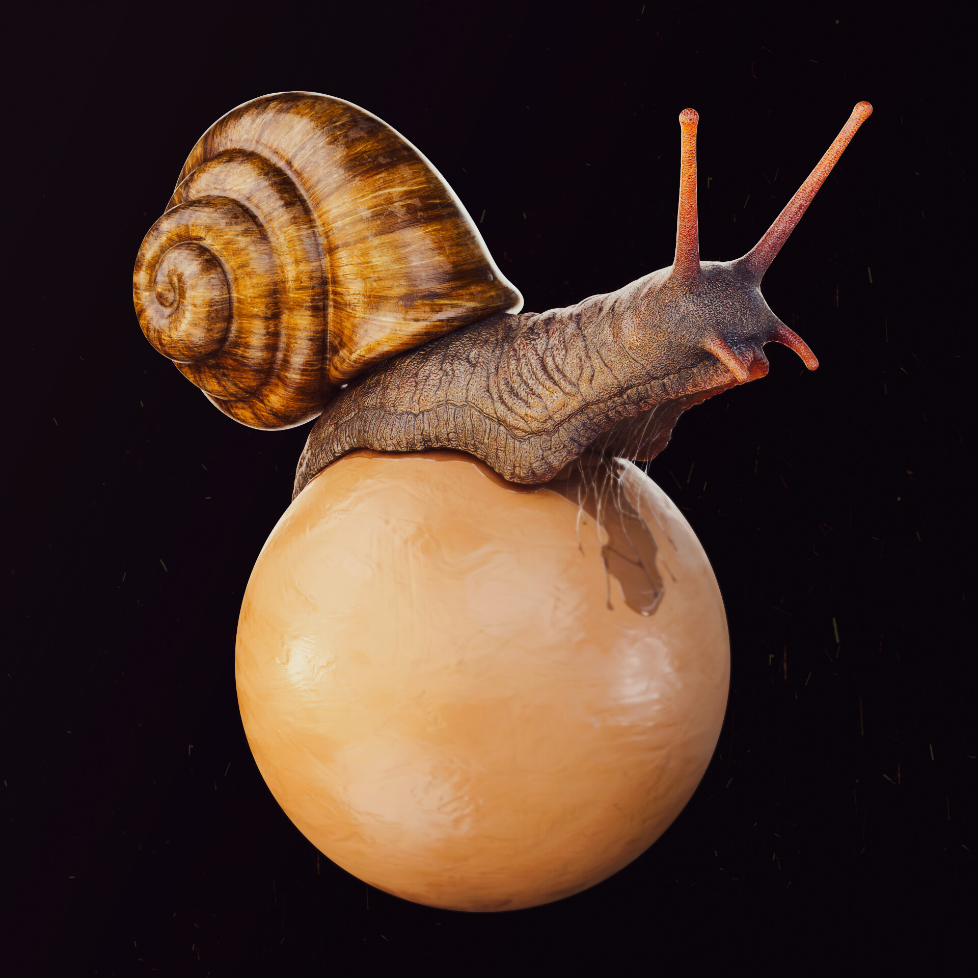 julio-benavides-snail-00017