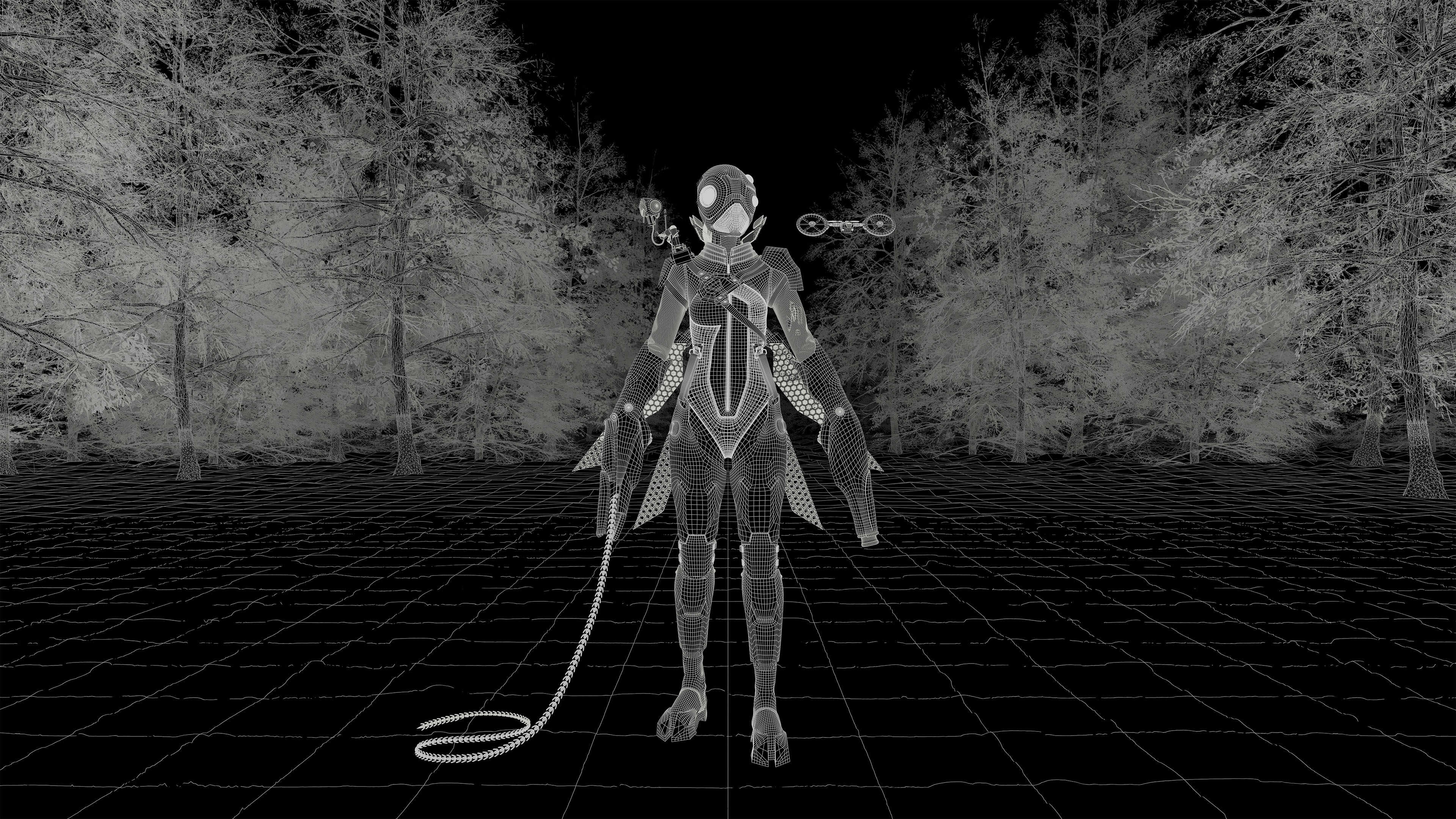 Wireframe_Full_Frame