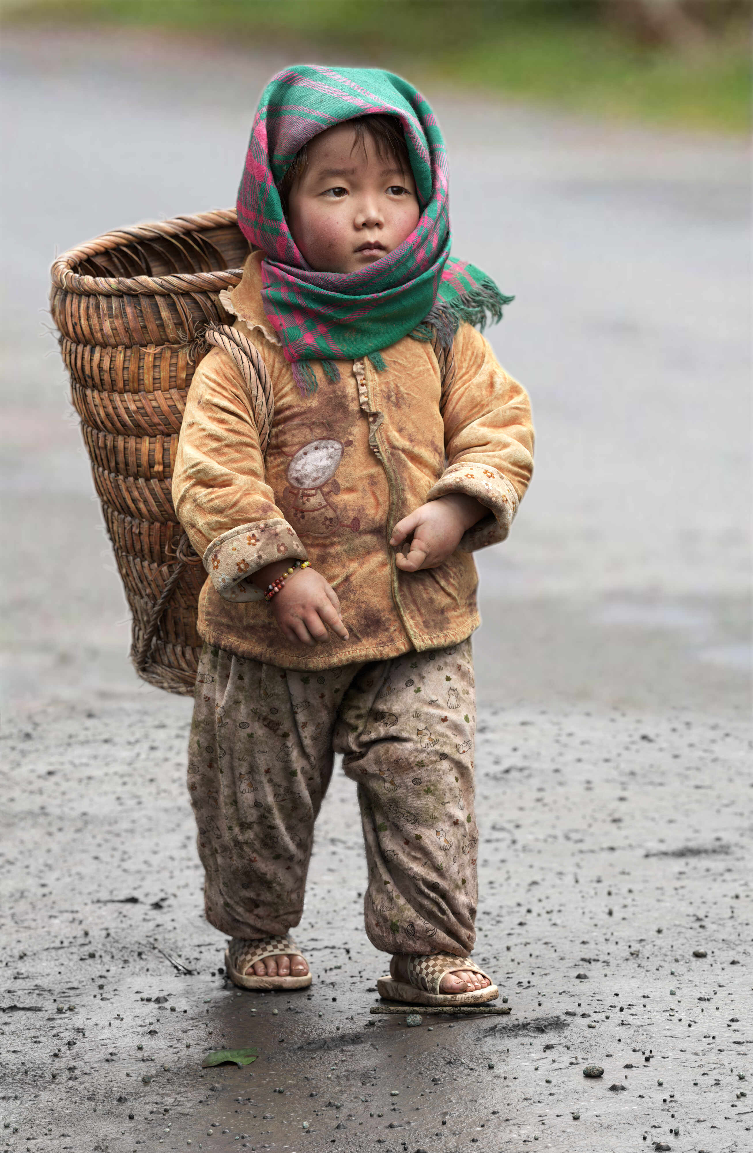 1- Little Hmong Harvester