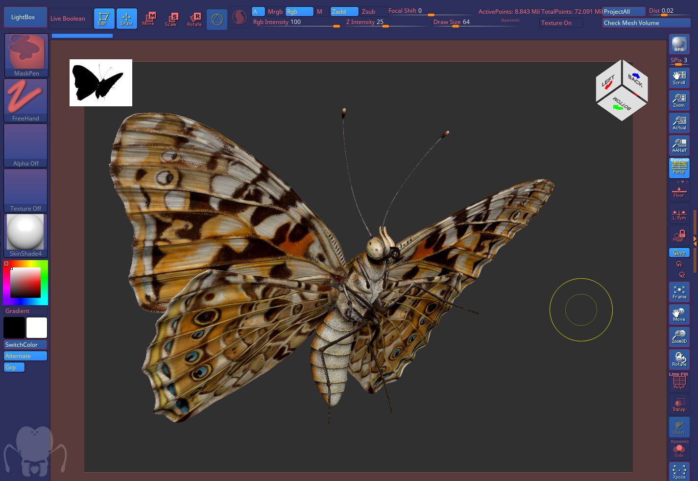 eric-keller-keller-butterfly-zb-sg-02