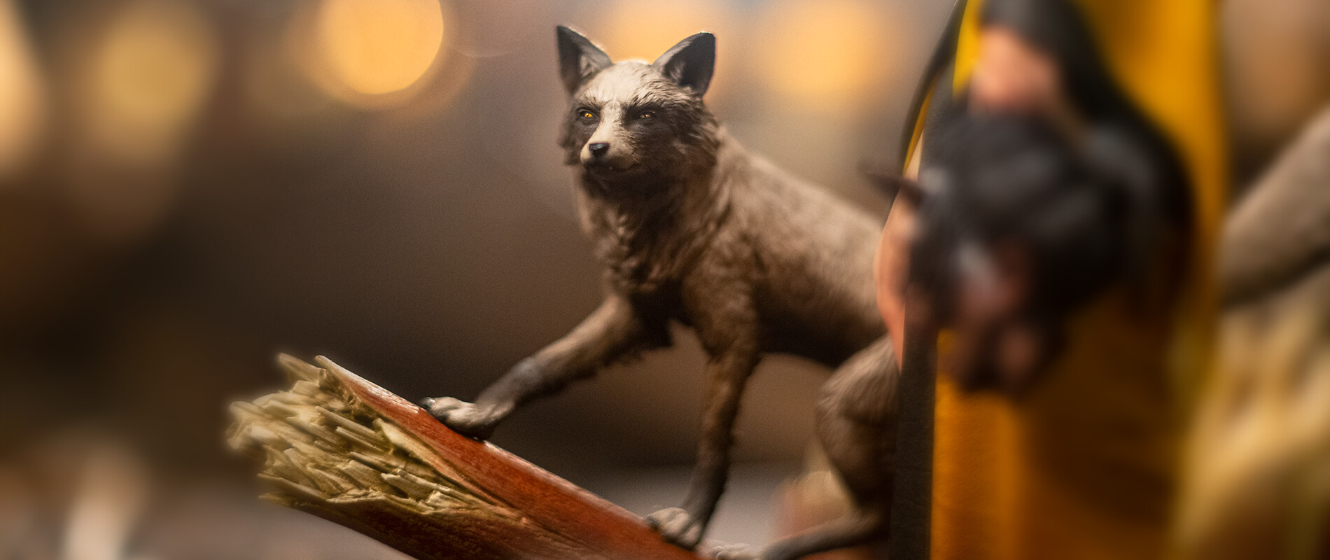 matt-cexwish-details-ciri-full-5