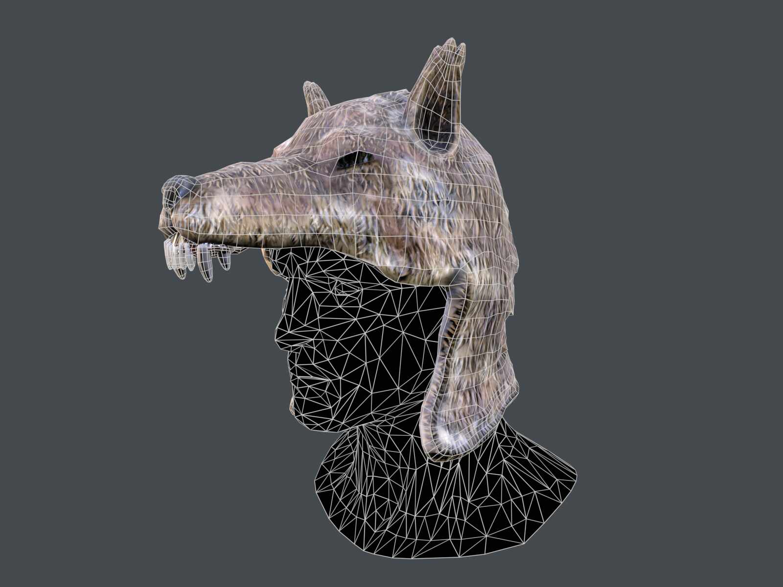 tbrender_Viewport_004