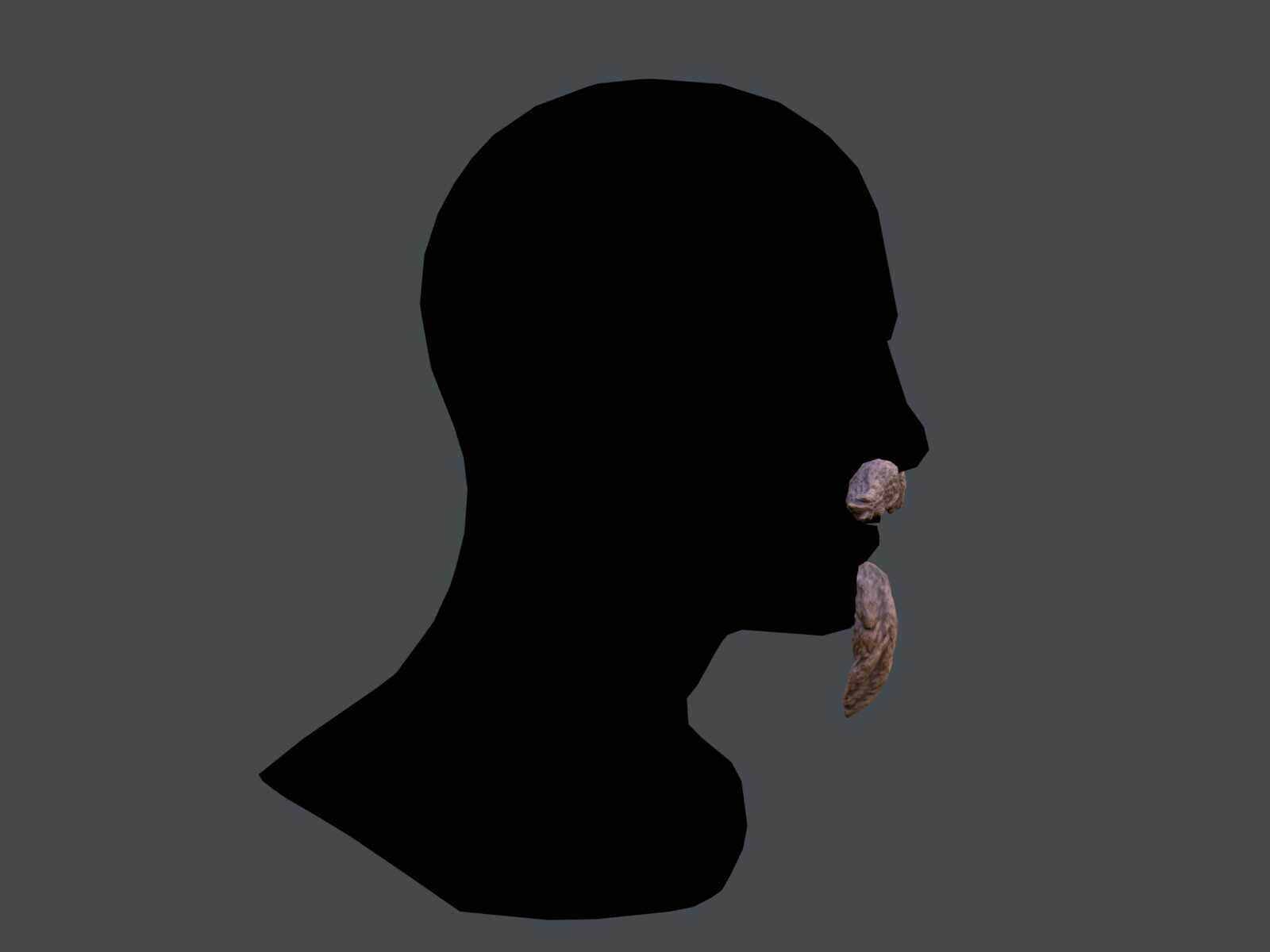 tbrender_Viewport_004