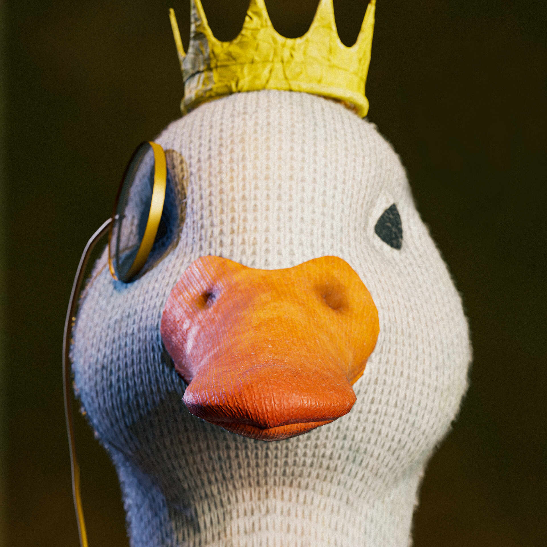 duck closeup