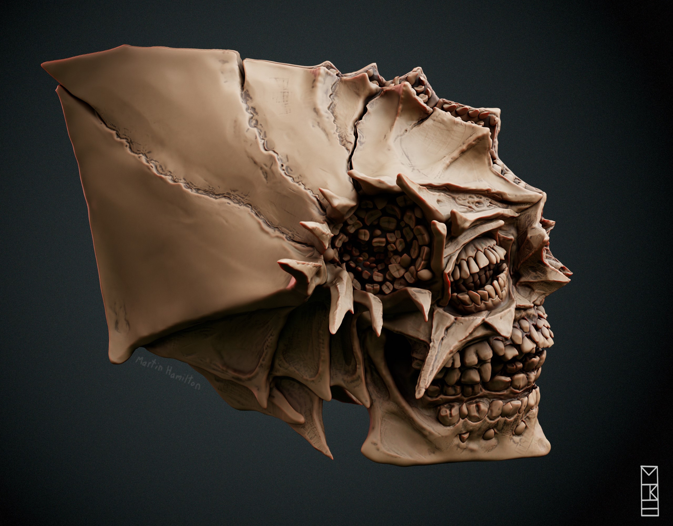 martintk-uEWoBpUL75zvxLQ5jKEU9-Final_Side