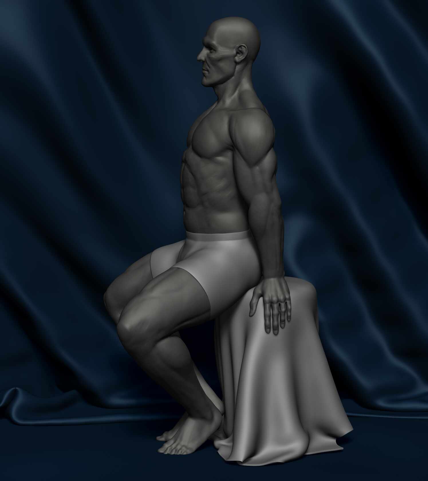 Anatomy_Study_Hamid_Reza_Afshar_03