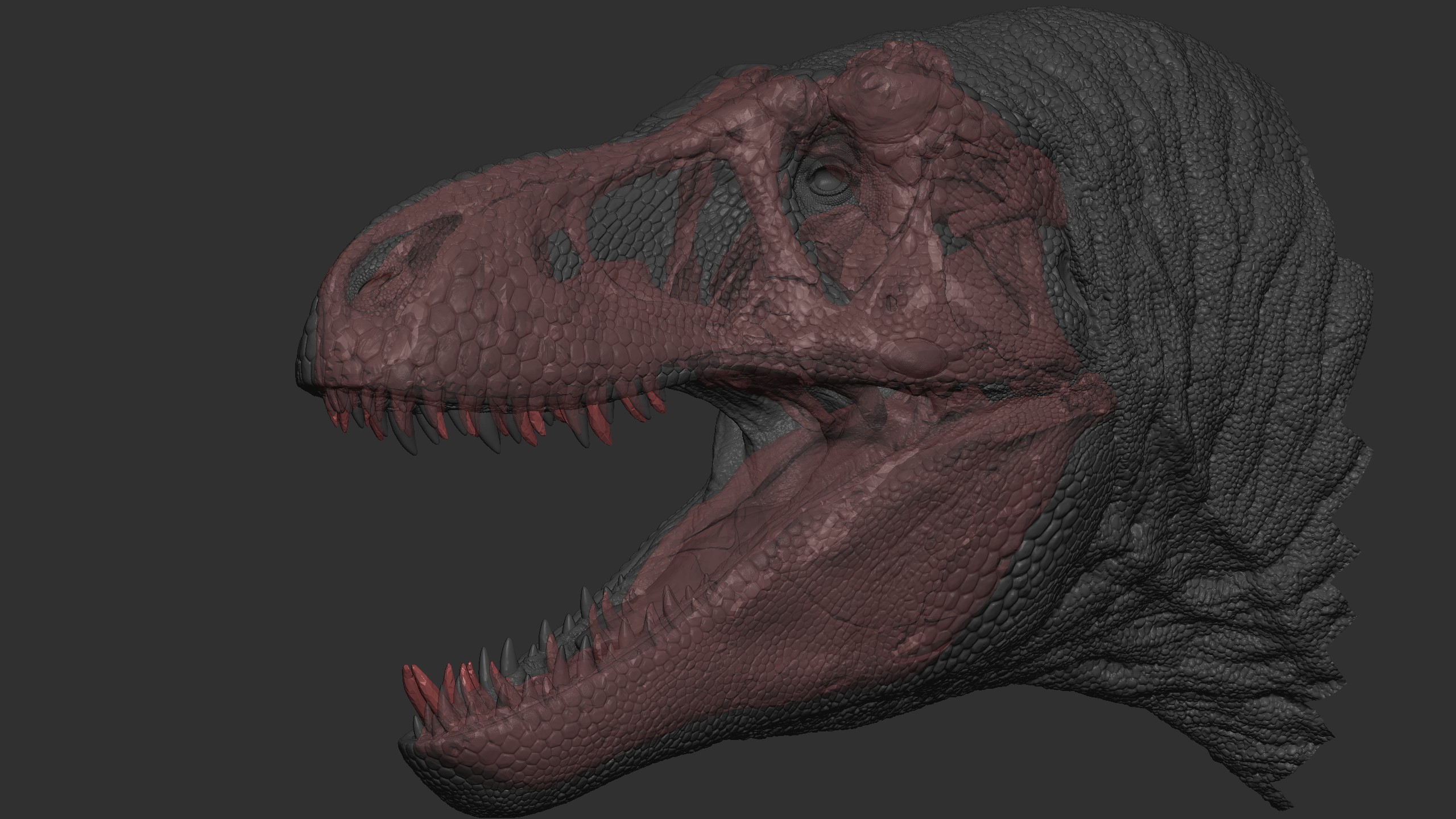 Trex_Skull_zbrush