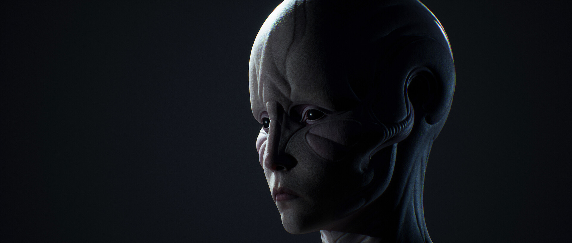 konrx-krolikowski-buttefly-2b