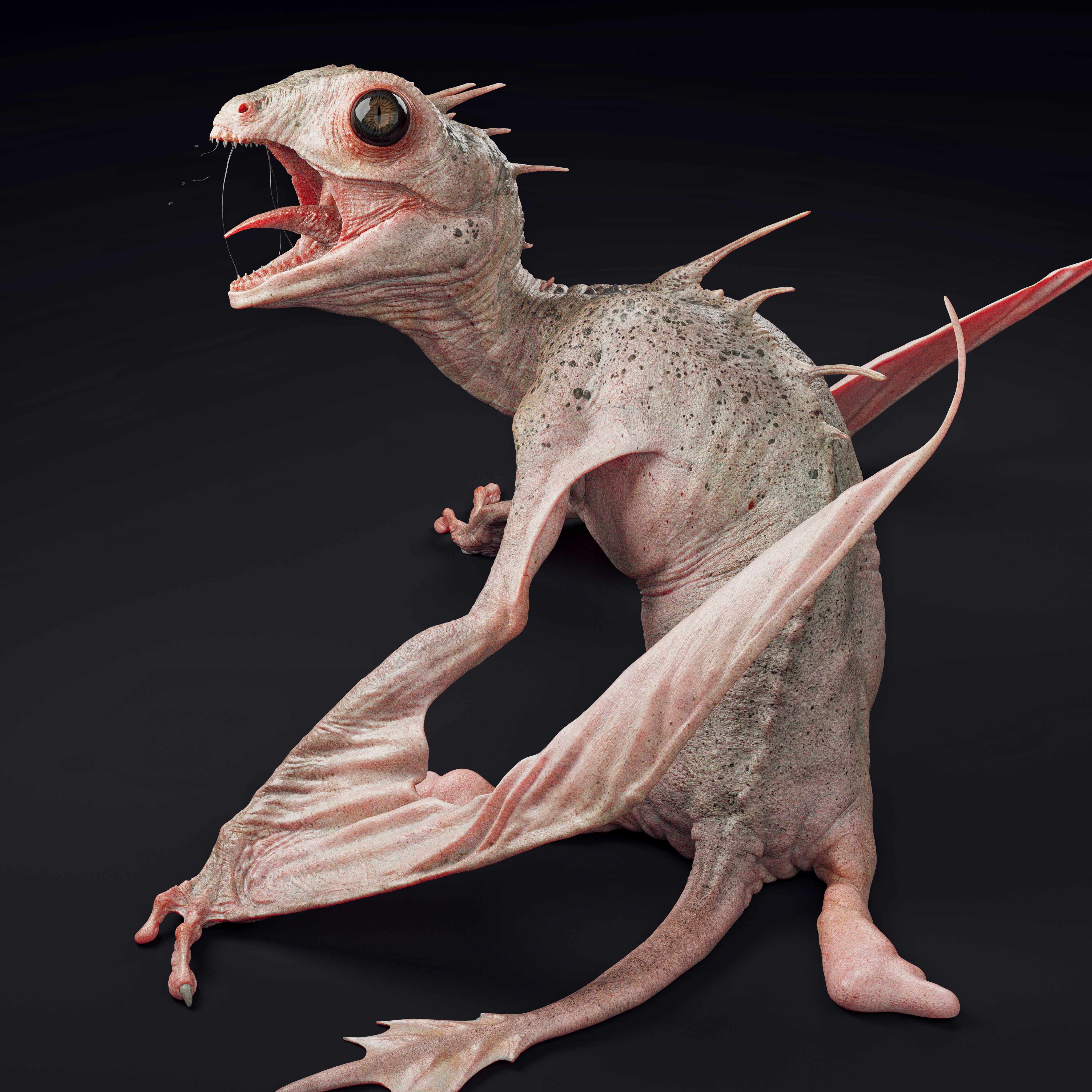 forgottenHatchling_2