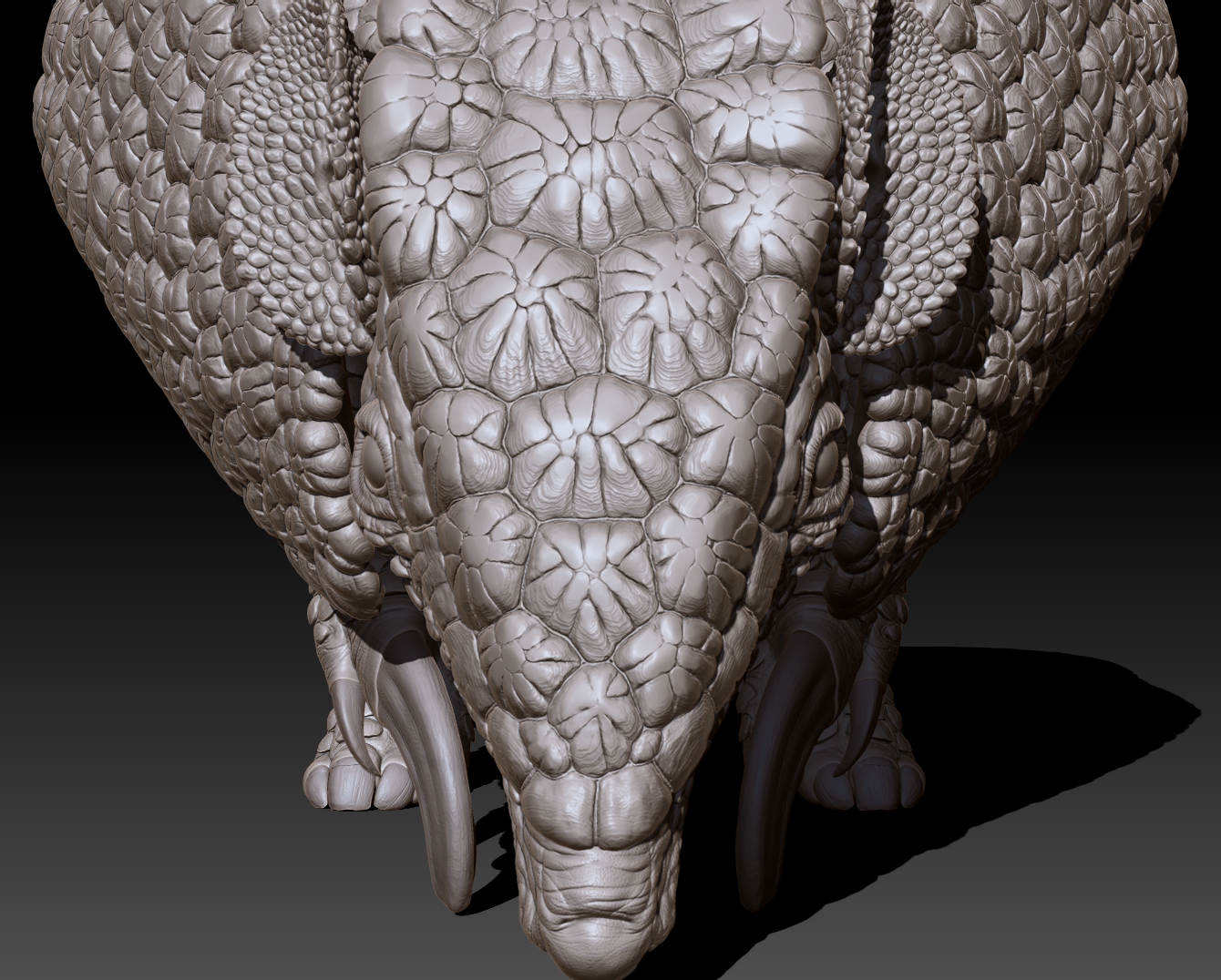 armadillo_front