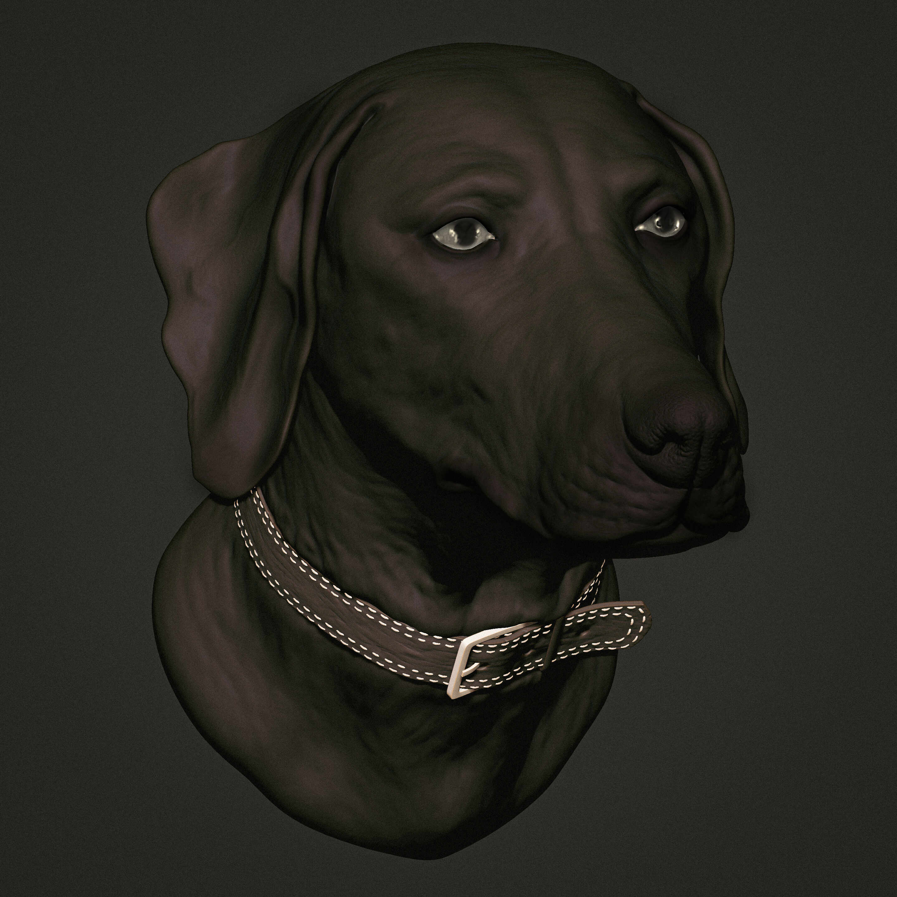 weimaraner edit