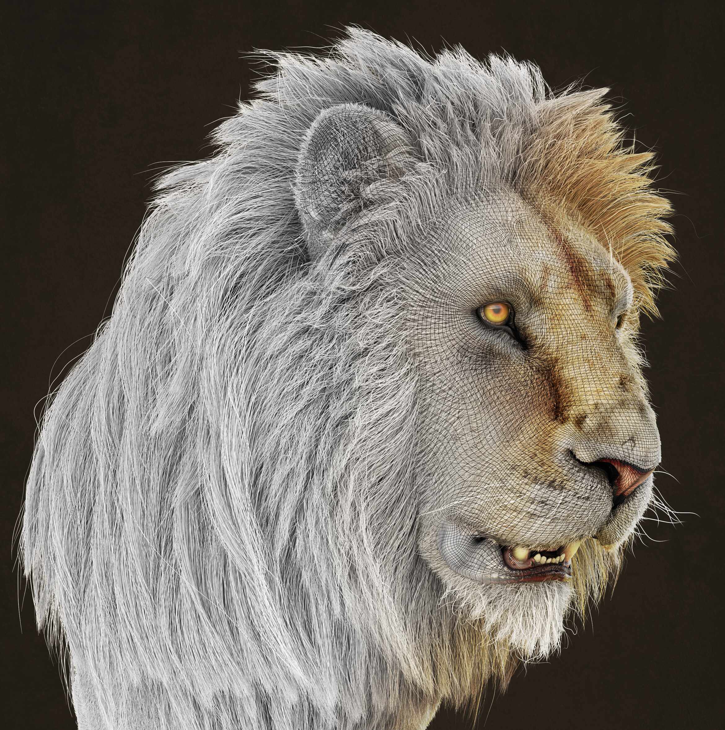 betoPrado_lion_pose01_wire